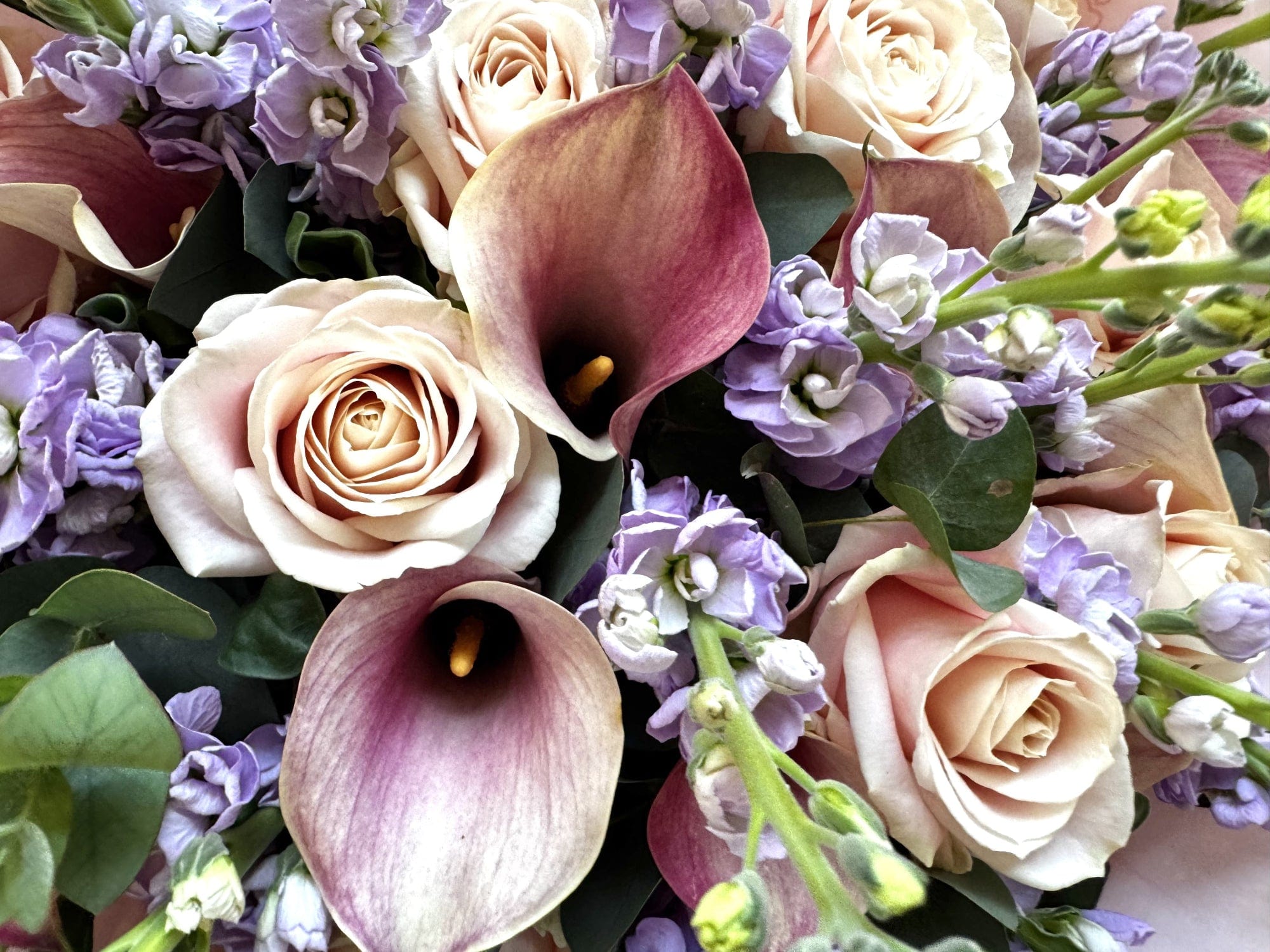 Pastel Fairytale