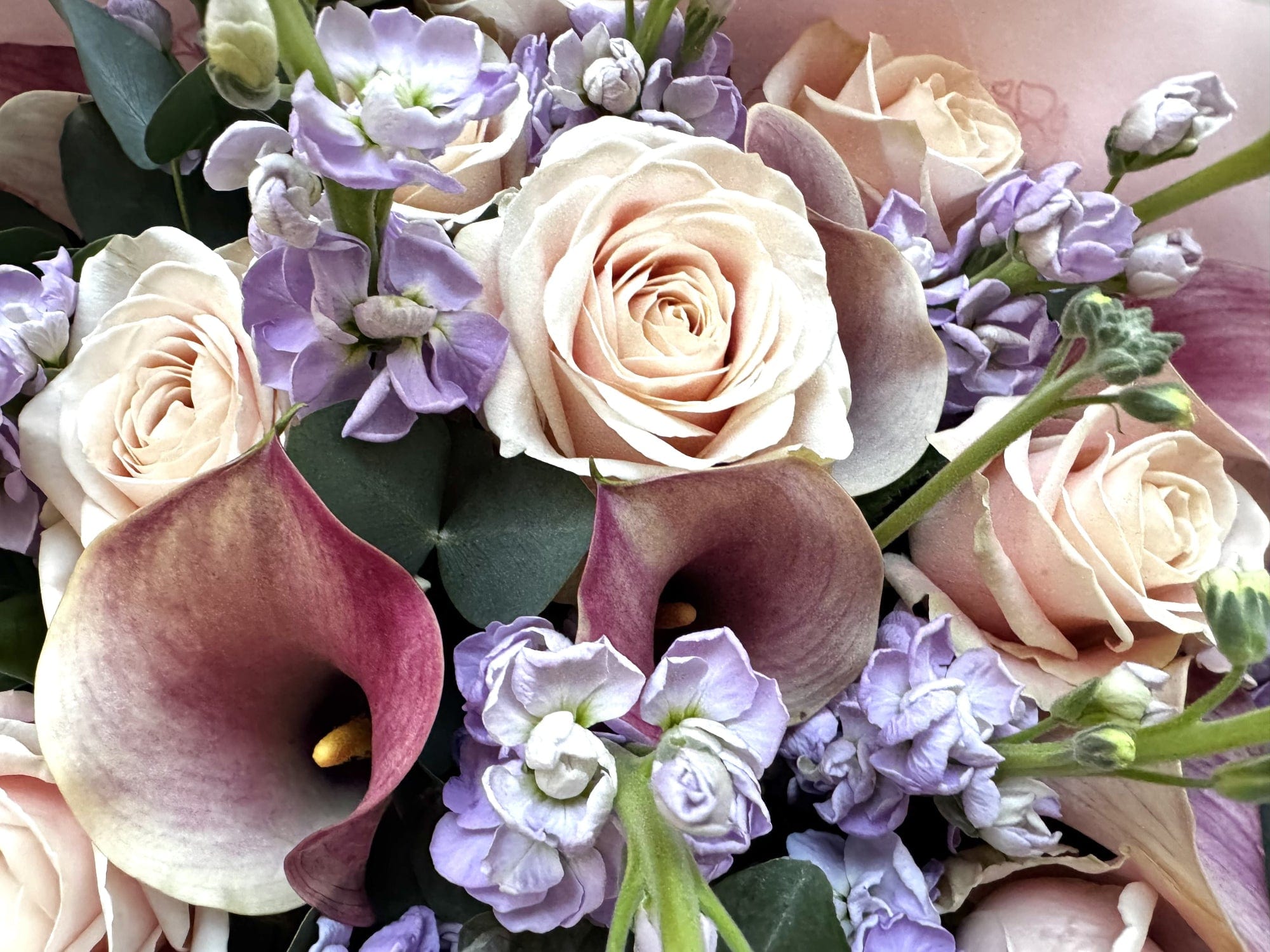 Pastel Fairytale