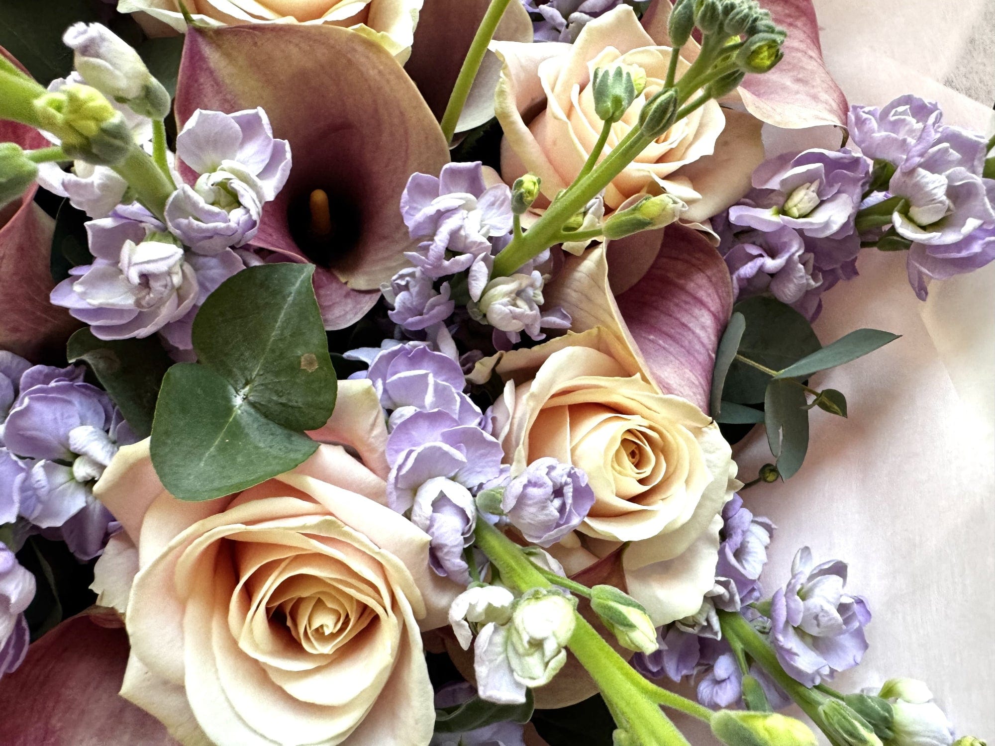 Pastel Fairytale