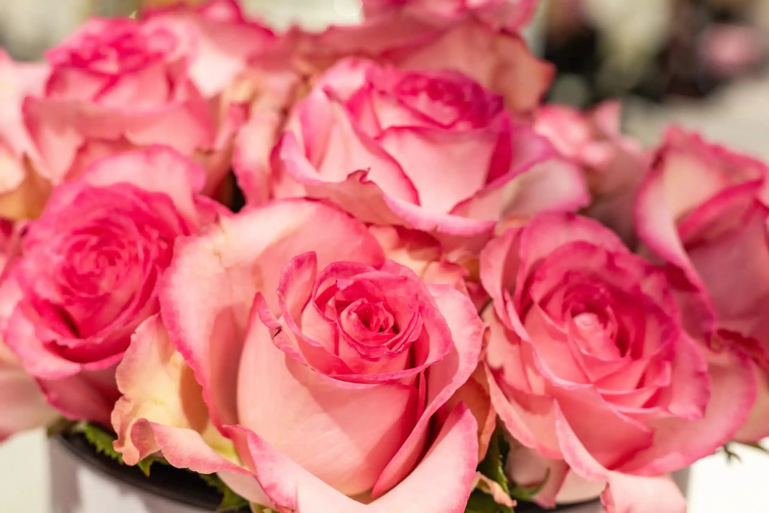 Pink roses hat box arrangement Daily Flowers