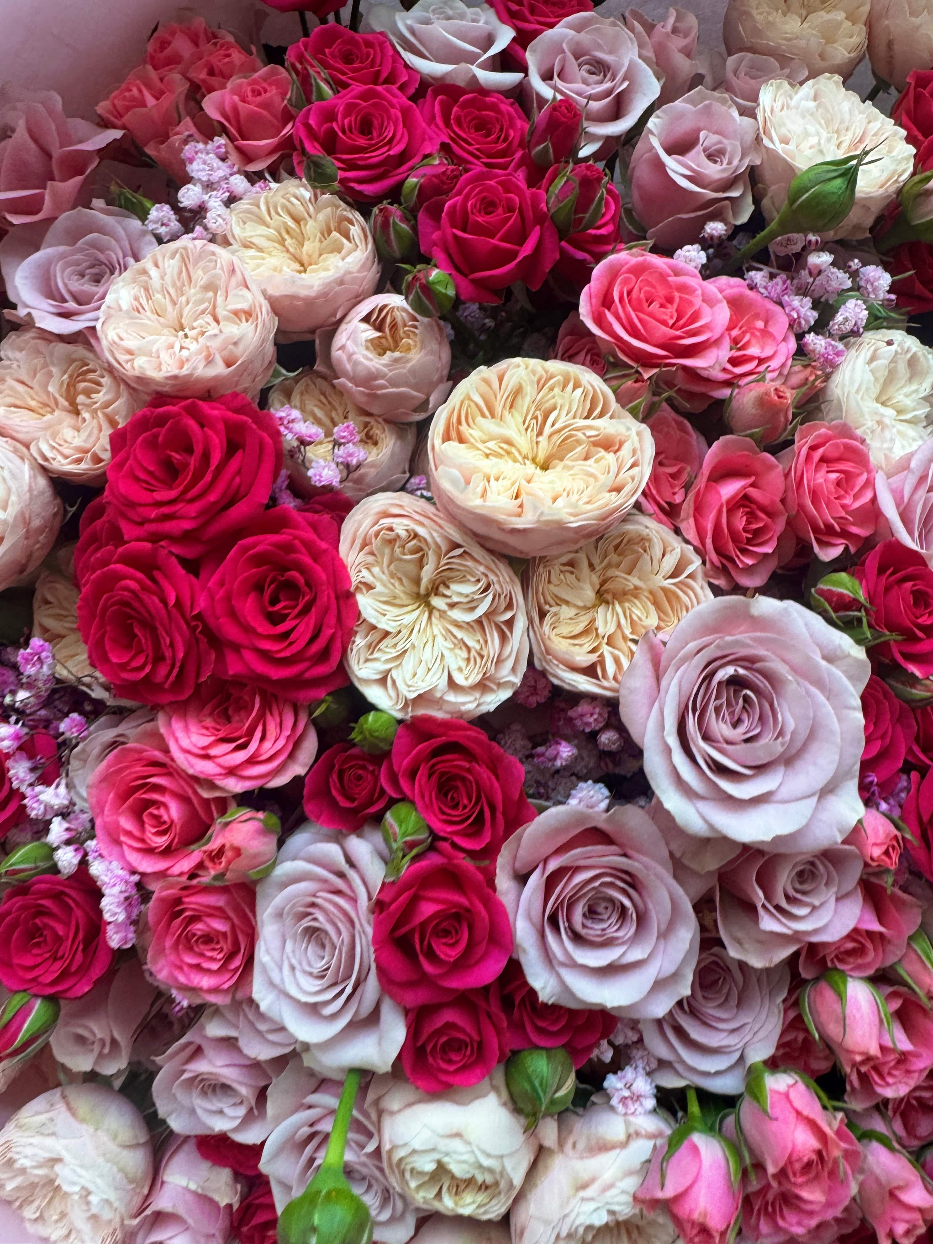 Pink Rosy Romance - Tiktok favorites