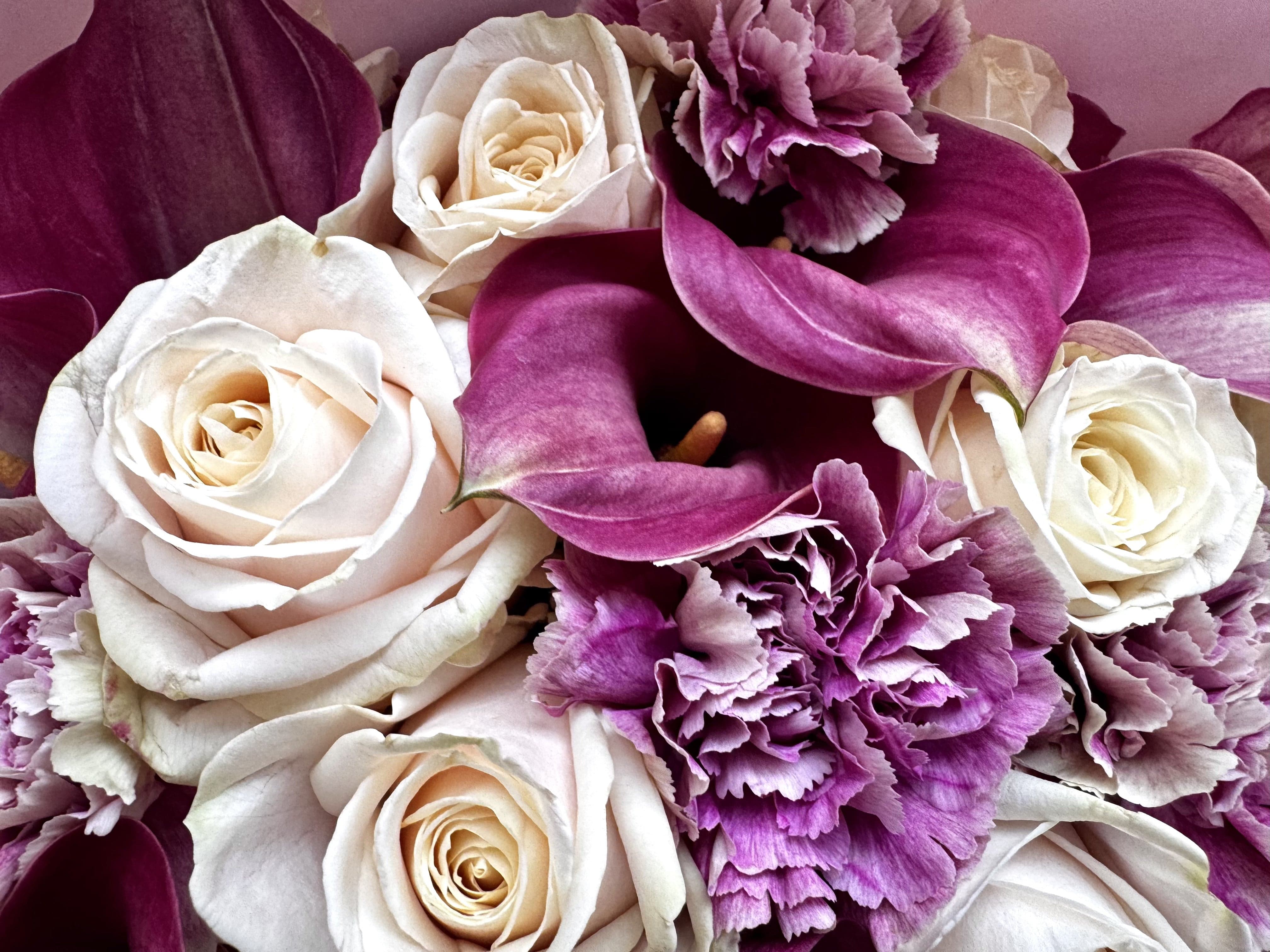 Pink Pastry Princess lifestyle Daily Flowers Amsterdam