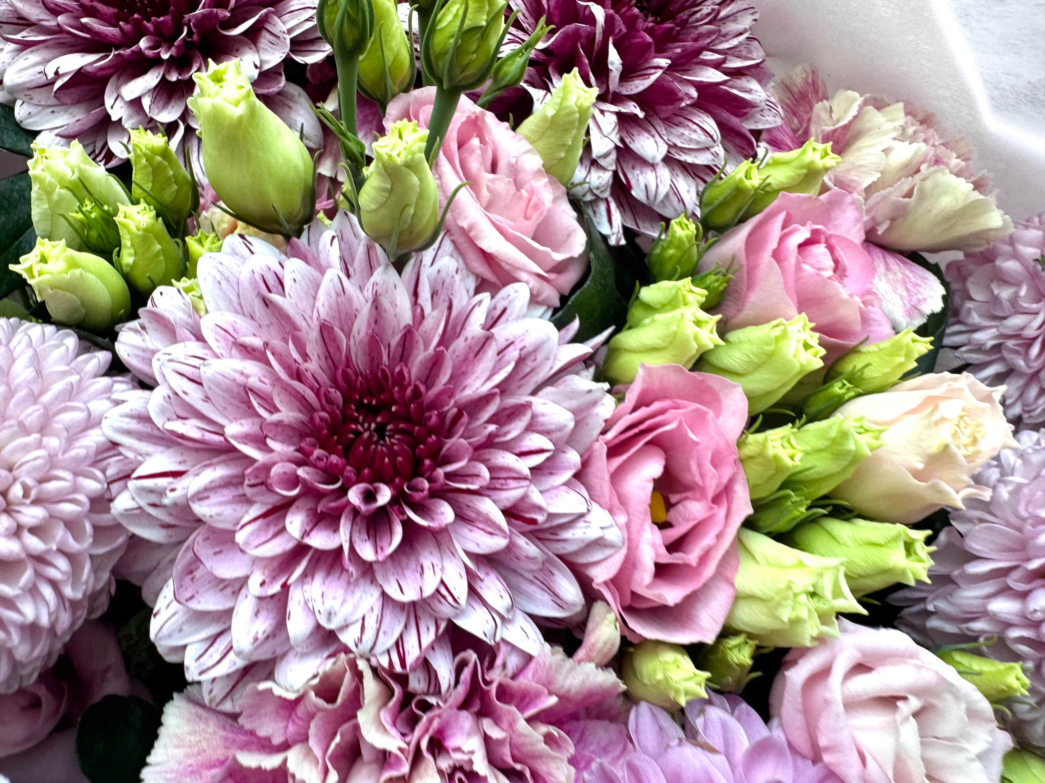 Pink Spring Garden bouquet close-up Daily Flowers