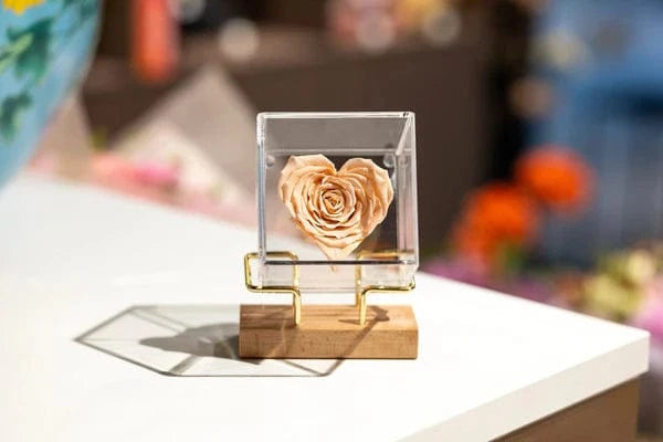 Luxury Preserved Rose Heart