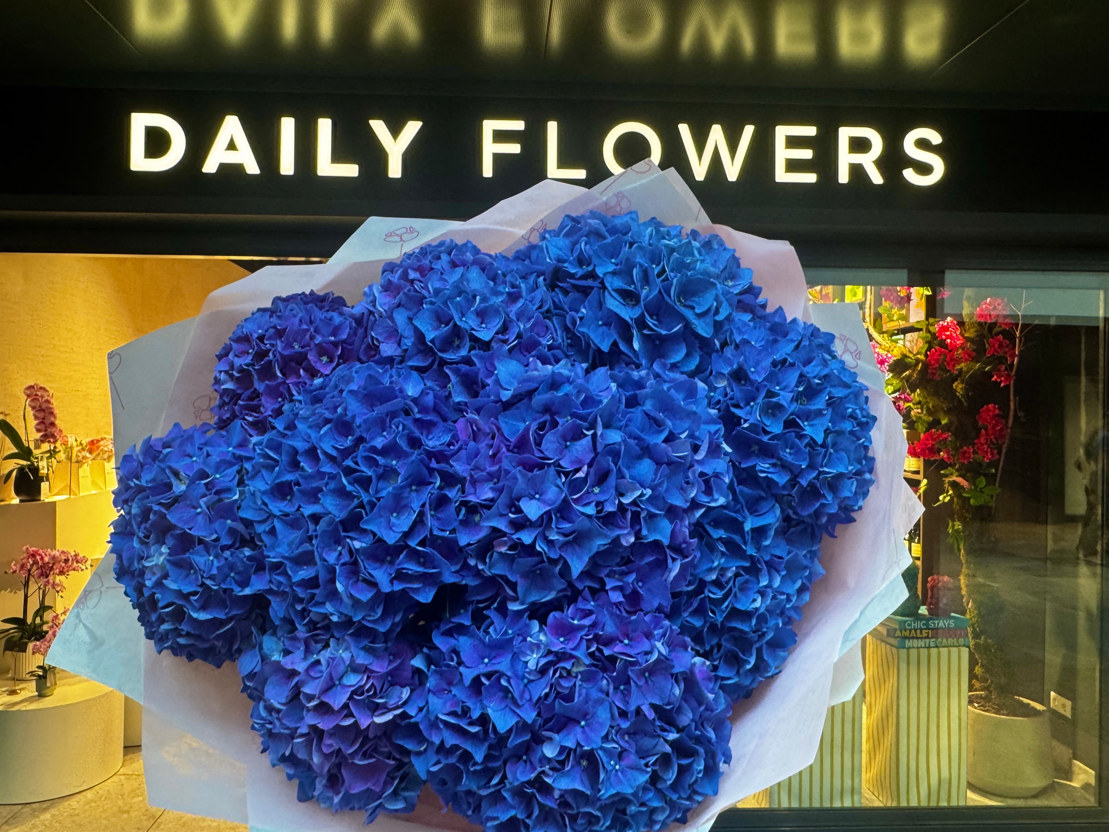 Choose your amount – Purple Hydrangea - Rodeo