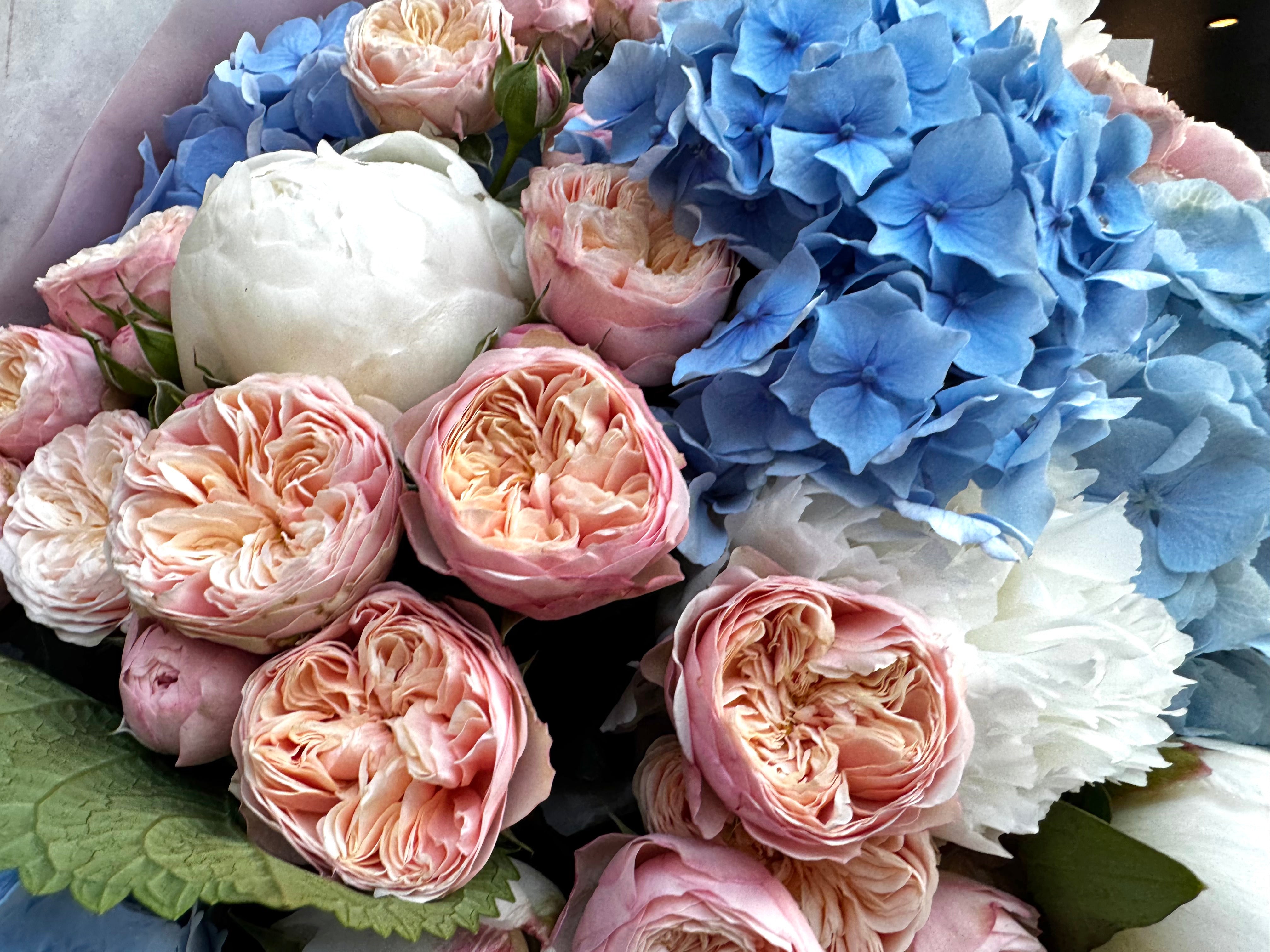Royal blue peony blush - TikTok favorites