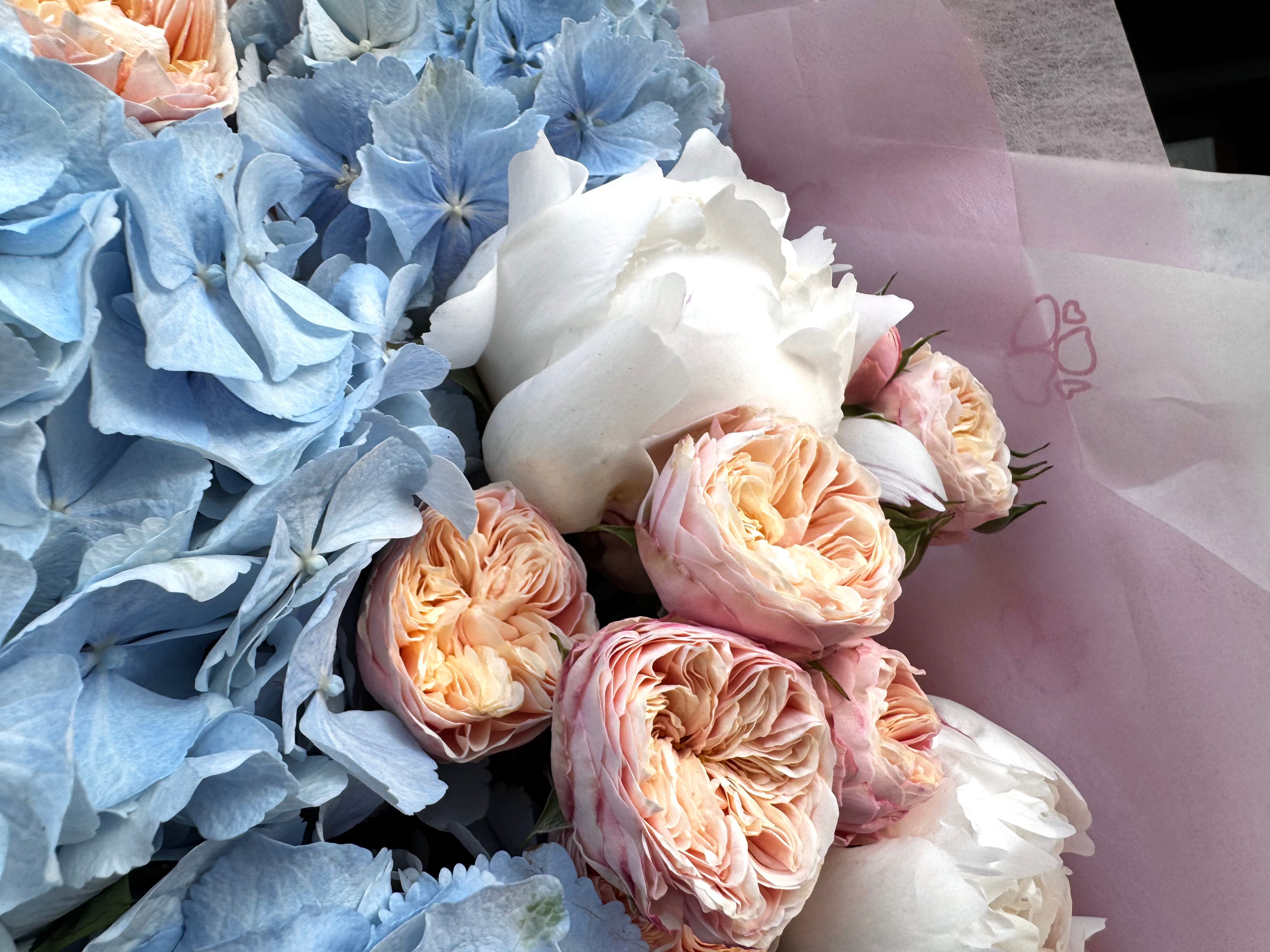 Royal blue peony blush - TikTok favorites