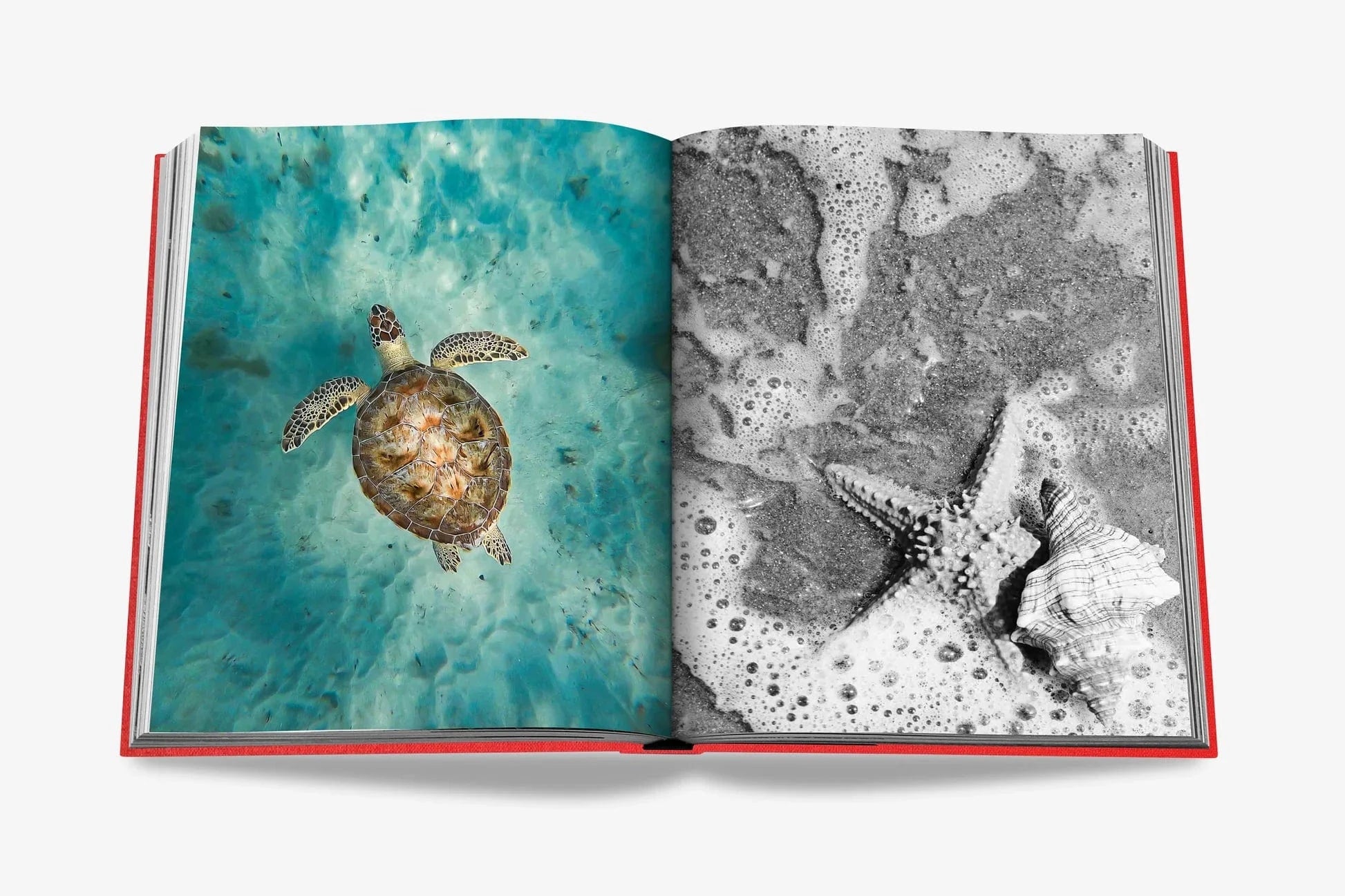 Assouline koffietafelboek - St. Barths Freedom