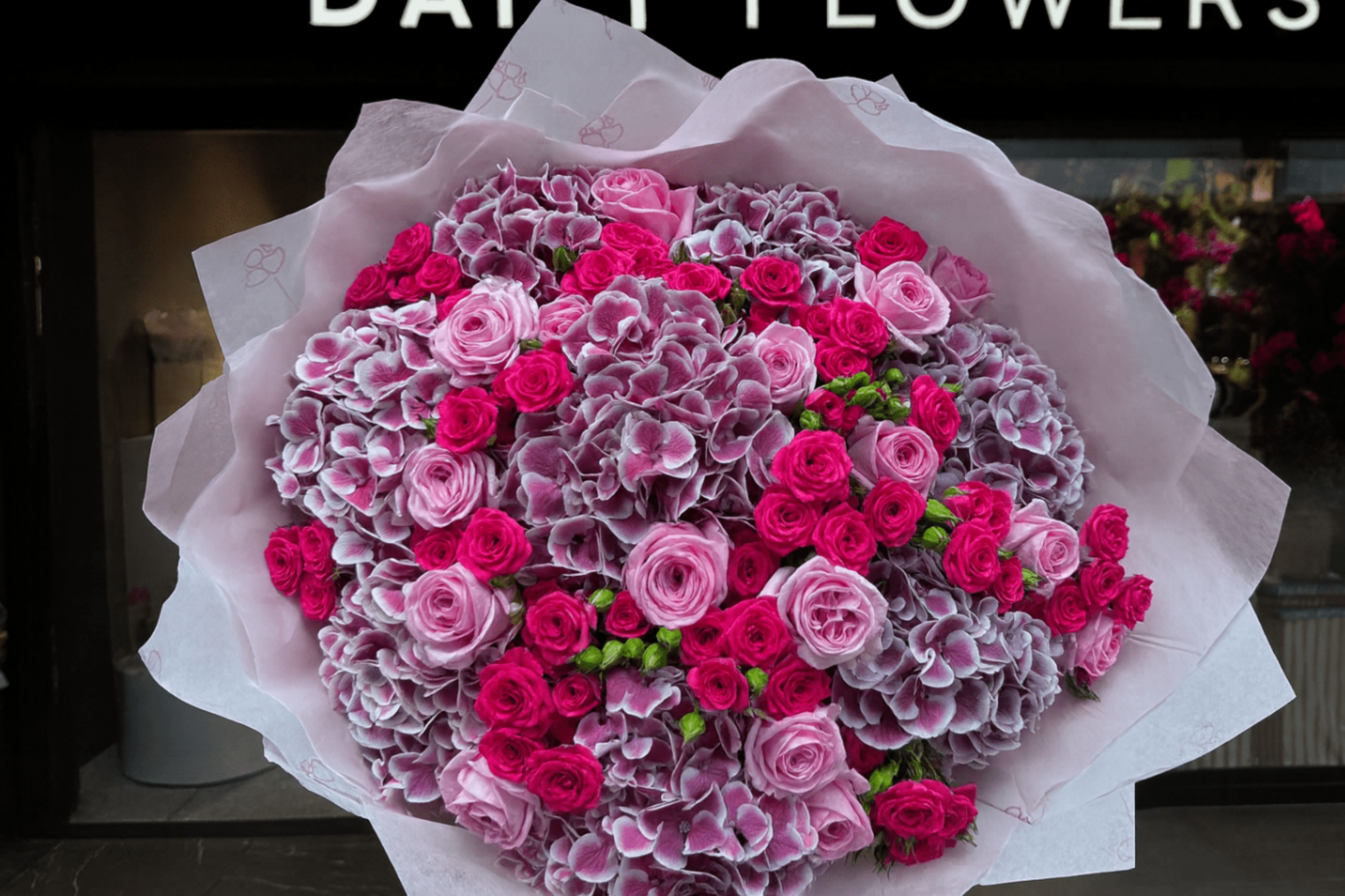 Strawberry Sorbet Dream - TikTok Favorites