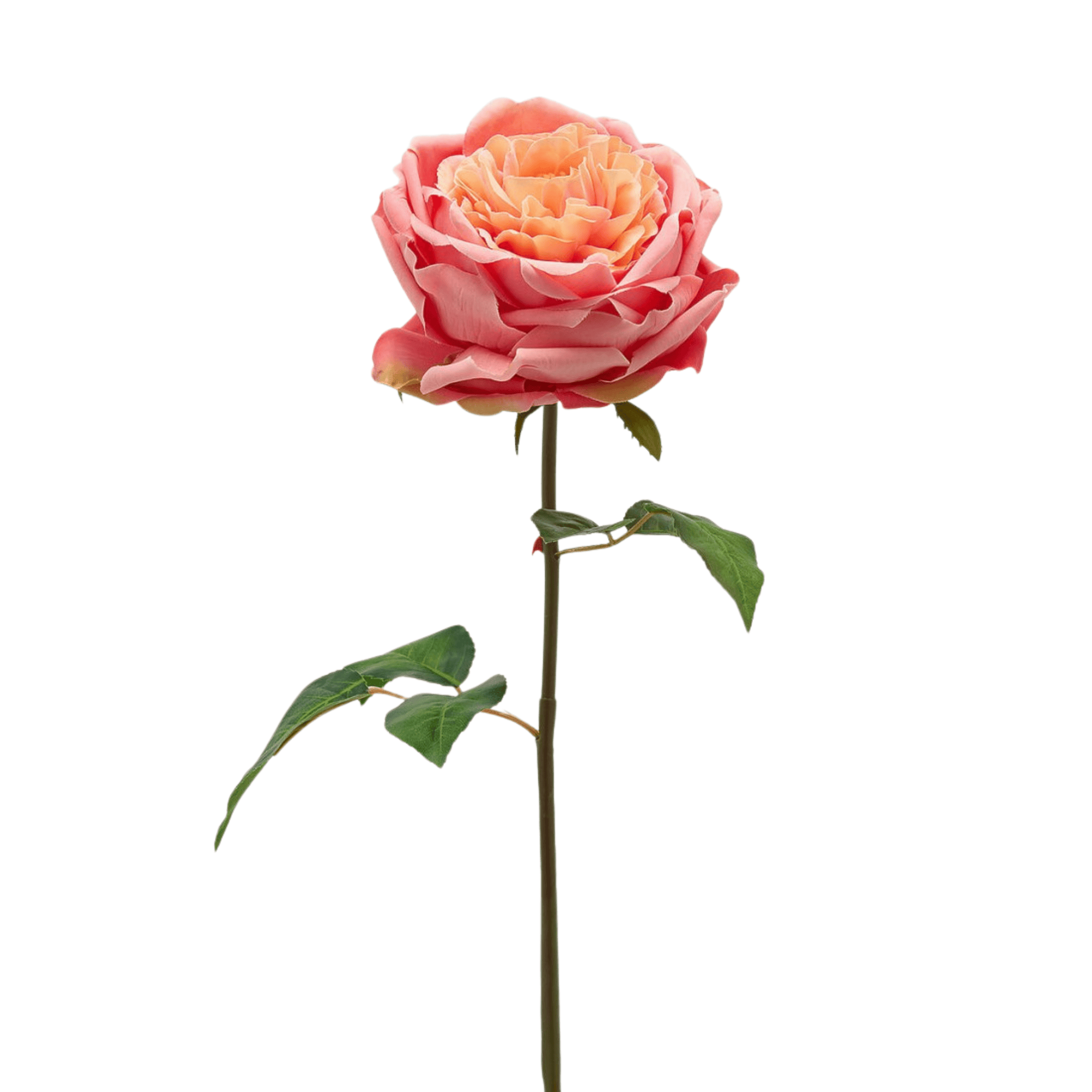 Artificial English Rose