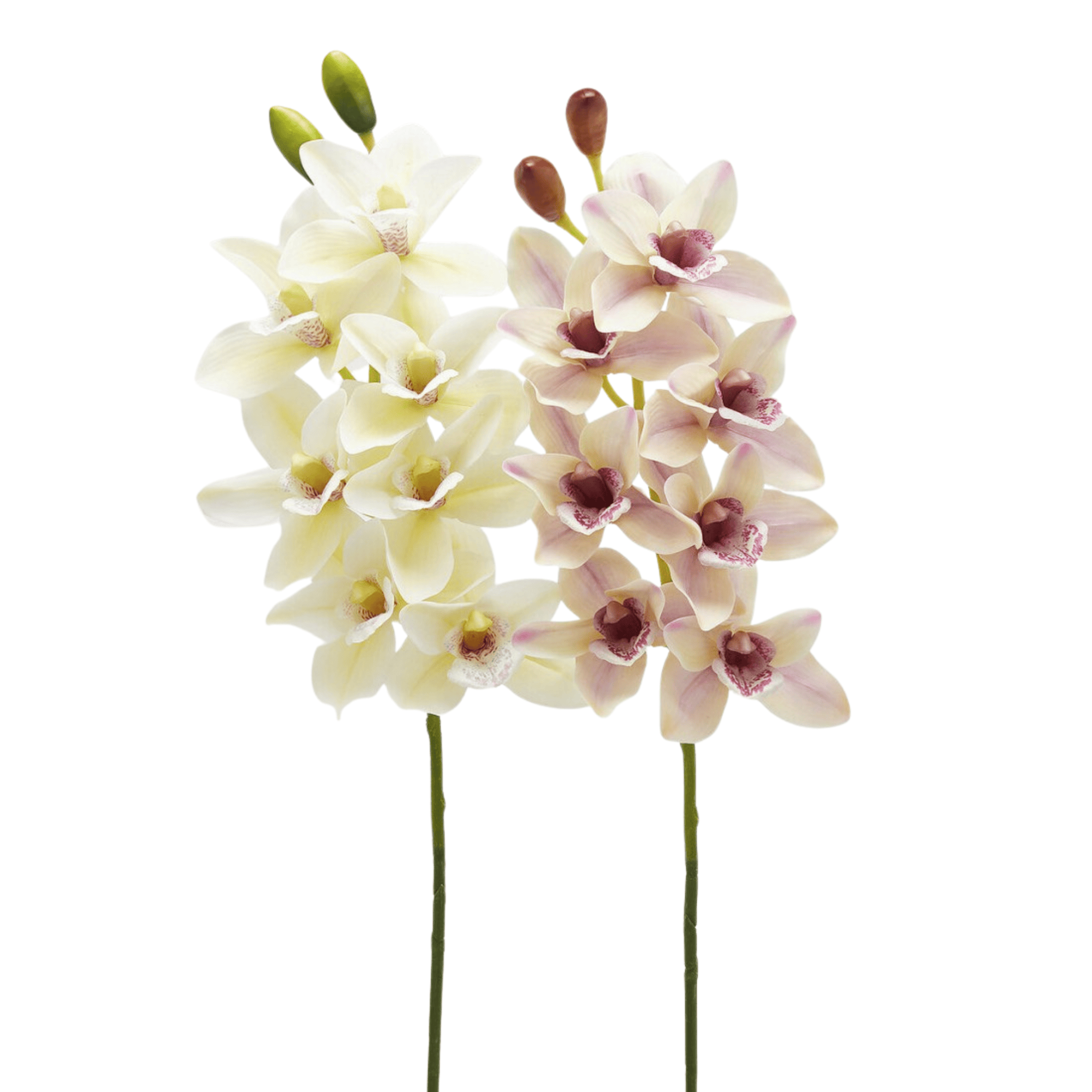 Artificial Cymbidium Orchid