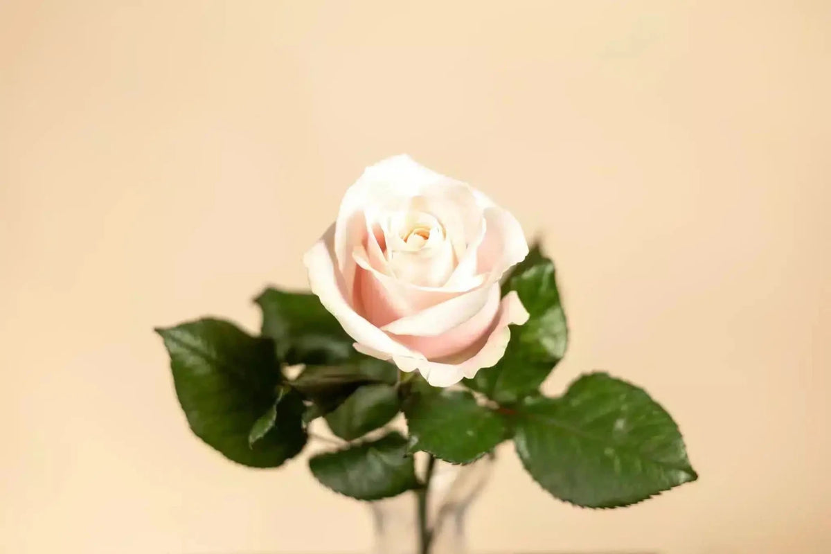 Amstel Hotel Exclusive flower arrangement detail
