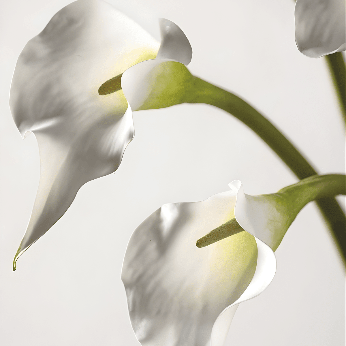 Artificial white calla stem product shot