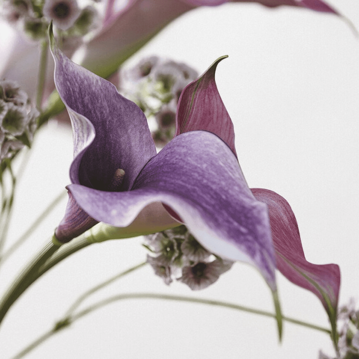 Artificial Calla lily bunch