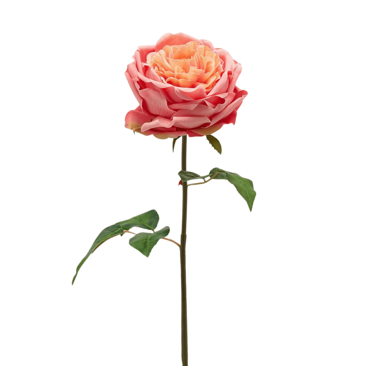 Artificial English Rose, artificial flower by Daily Flowers