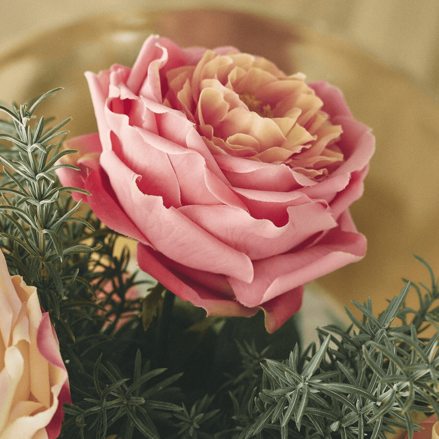 Artificial English Rose, artificial flower by Daily Flowers