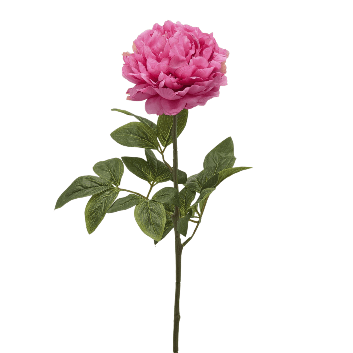 Artificial Peony Rose, artificial flower by Daily Flowers