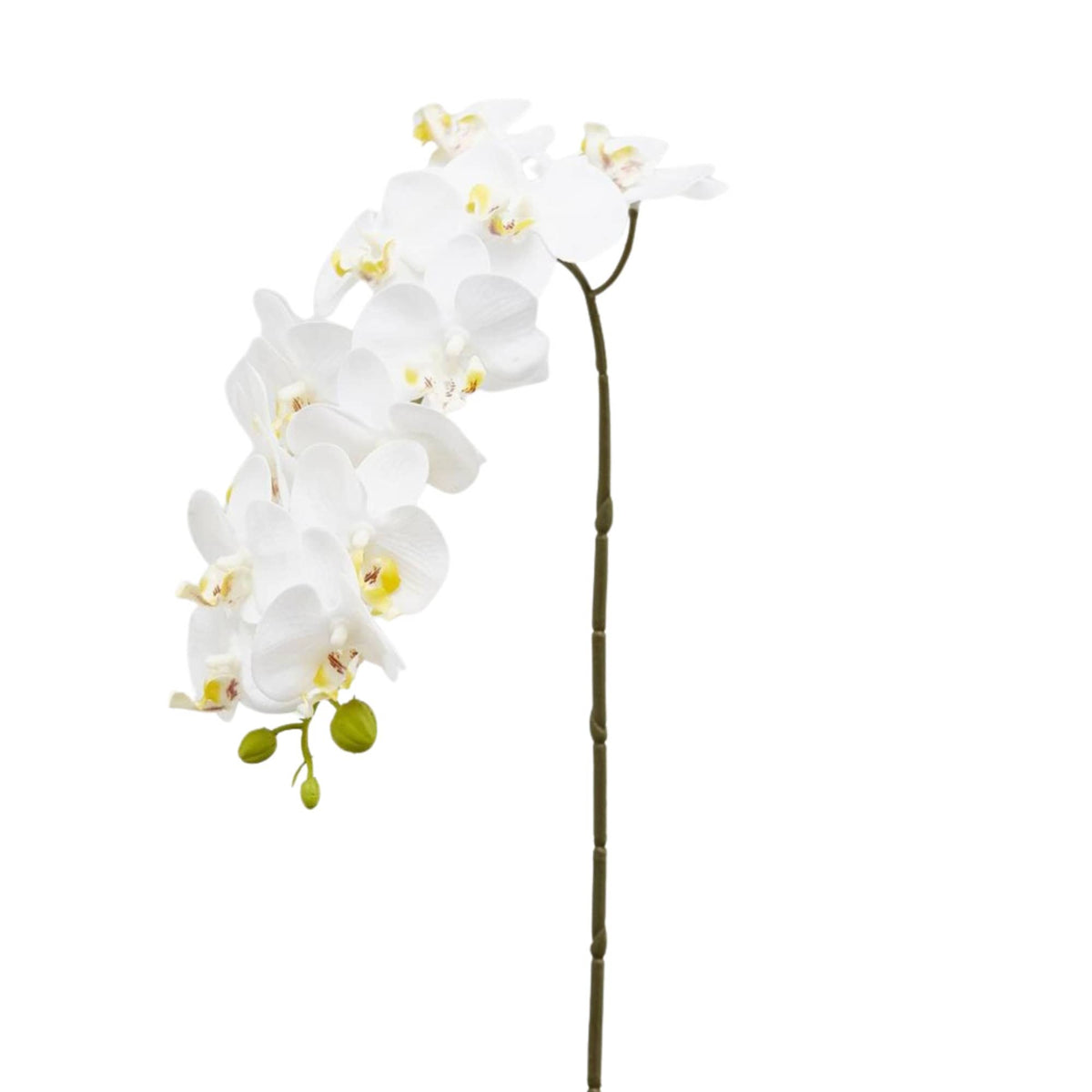 White artificial Phalaenopsis orchid branch with twelve real-touch blooms, 58 cm, by Daily Flowers