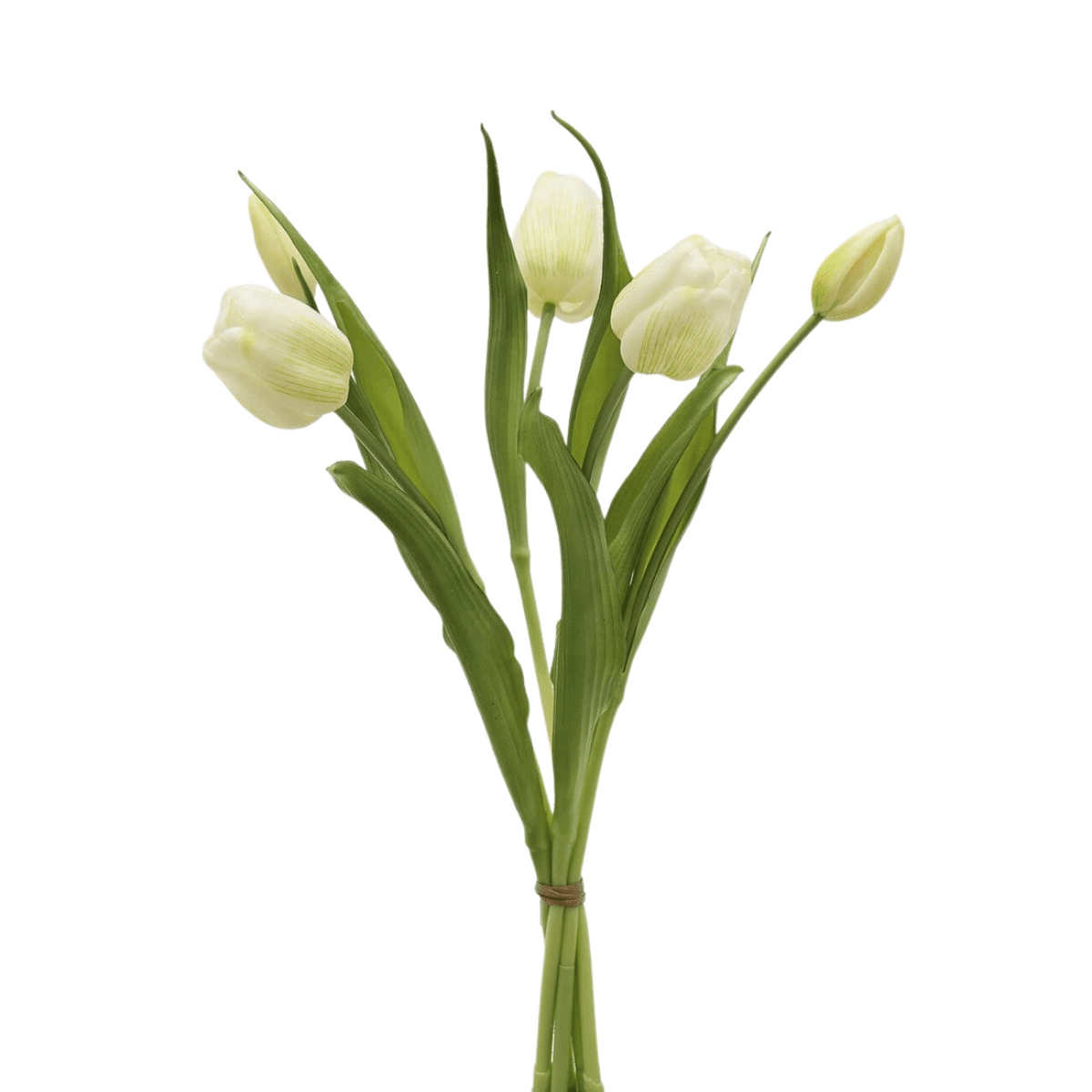 White artificial tulip stem