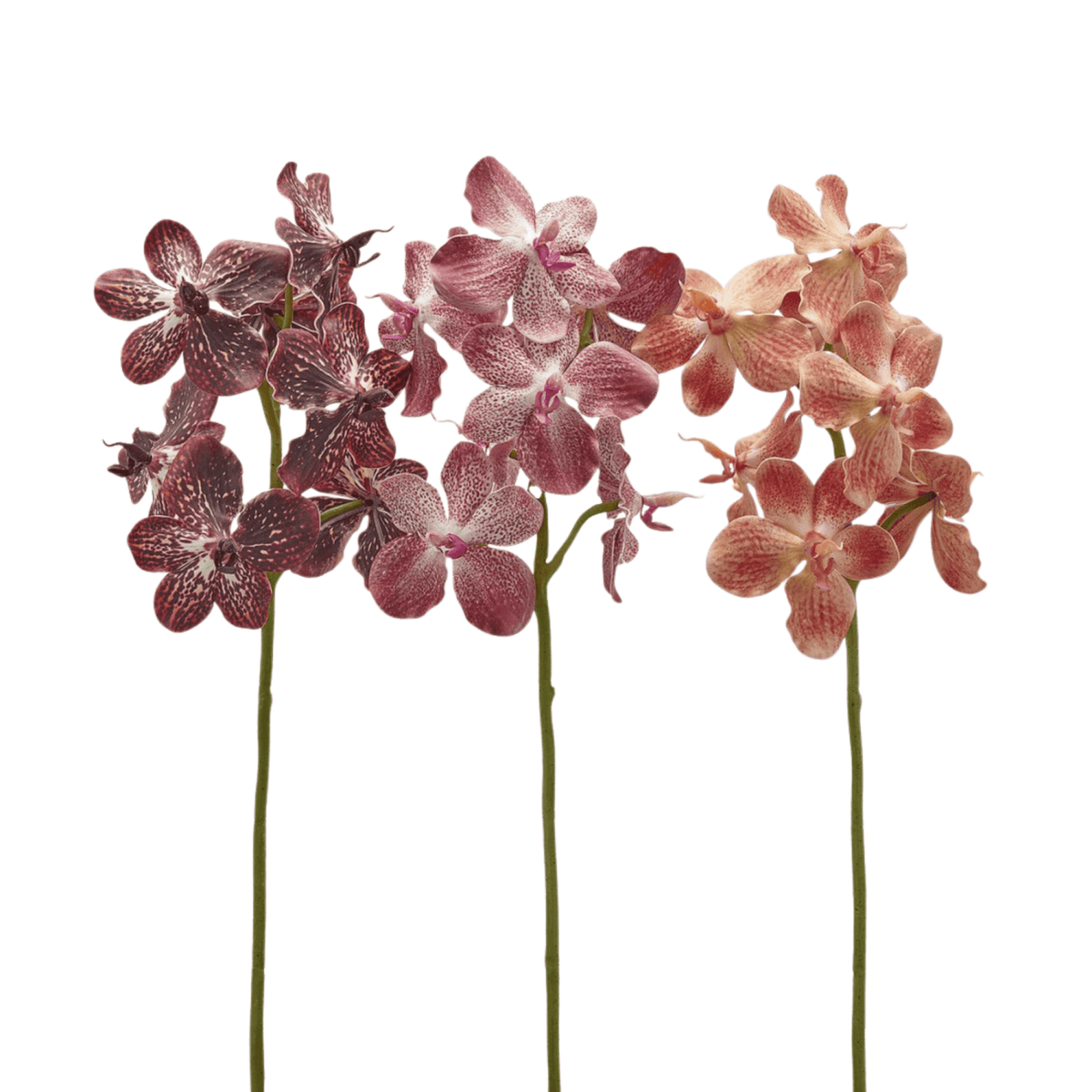 Artificial Vanda Branch, artificial flower by Daily Flowers