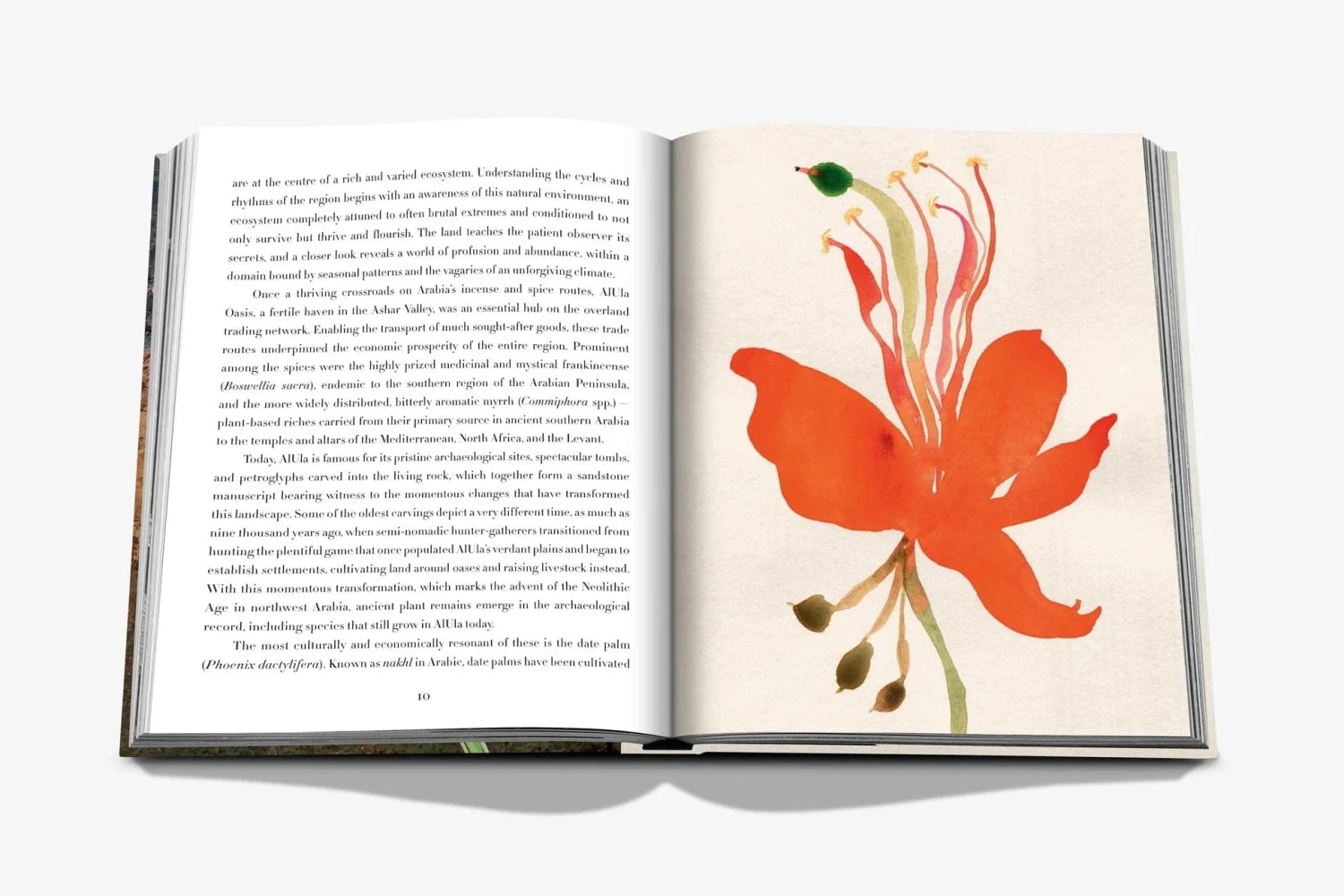 Assouline Alula Flora book spread