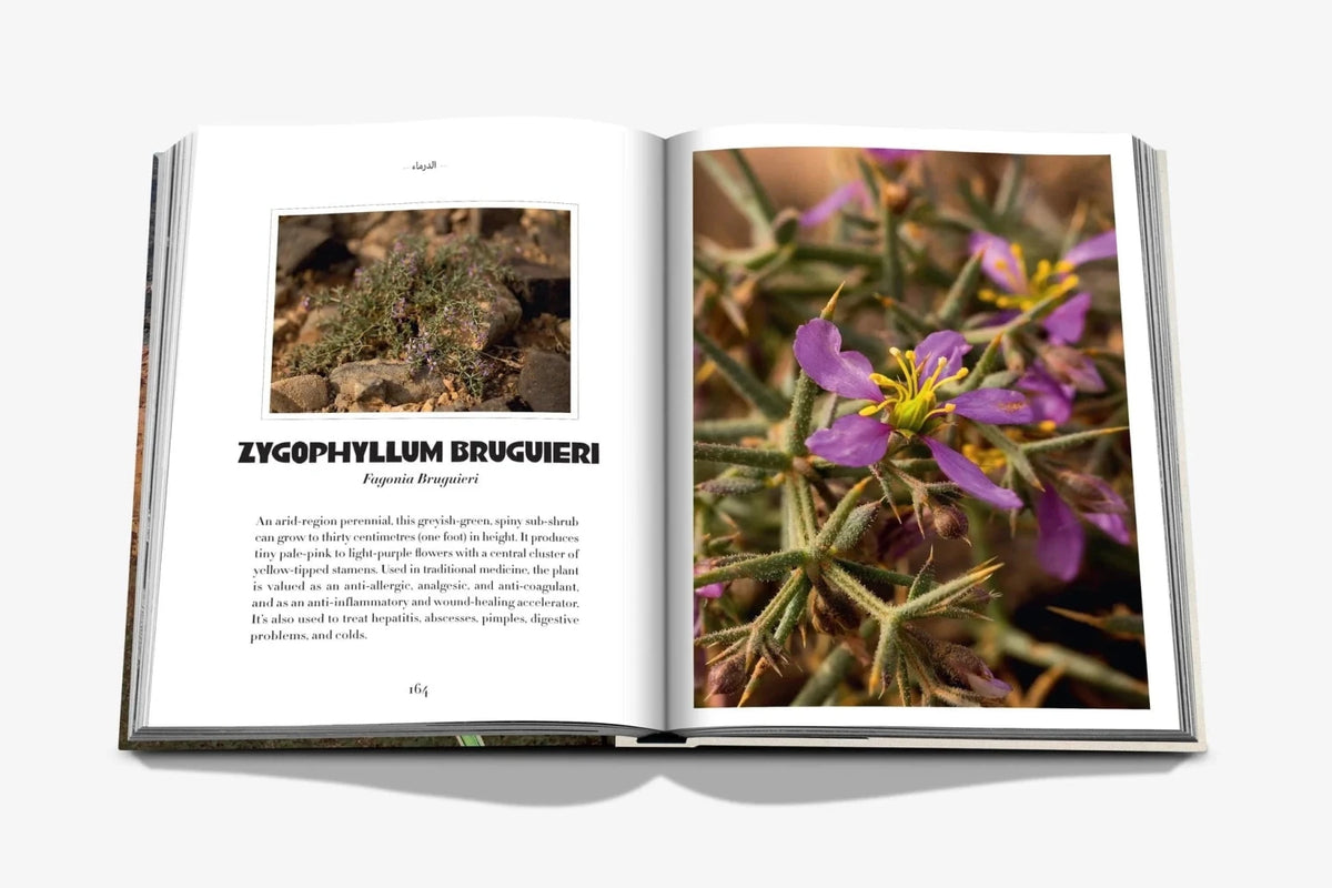 Assouline Alula Flora open book pages