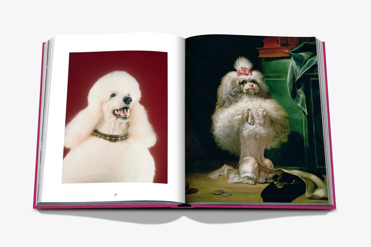 Assouline Chic Dogs book spread