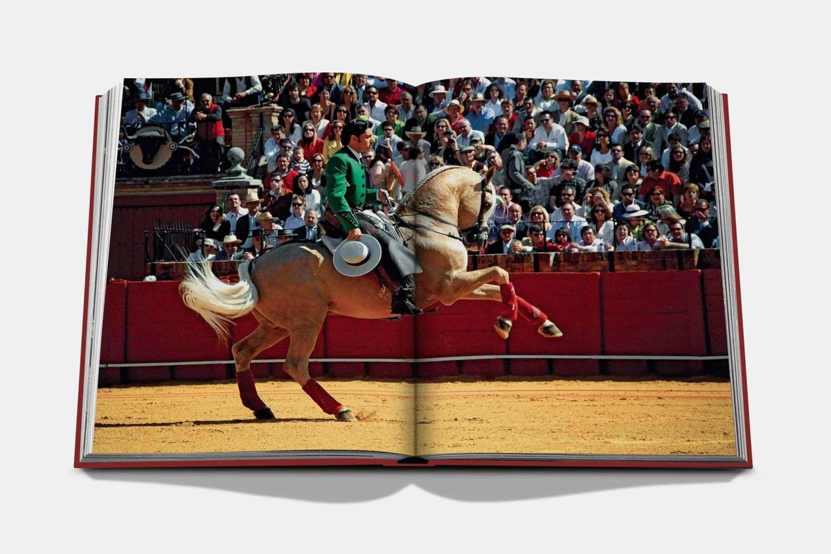 Assouline Sevilla Arte pages detail