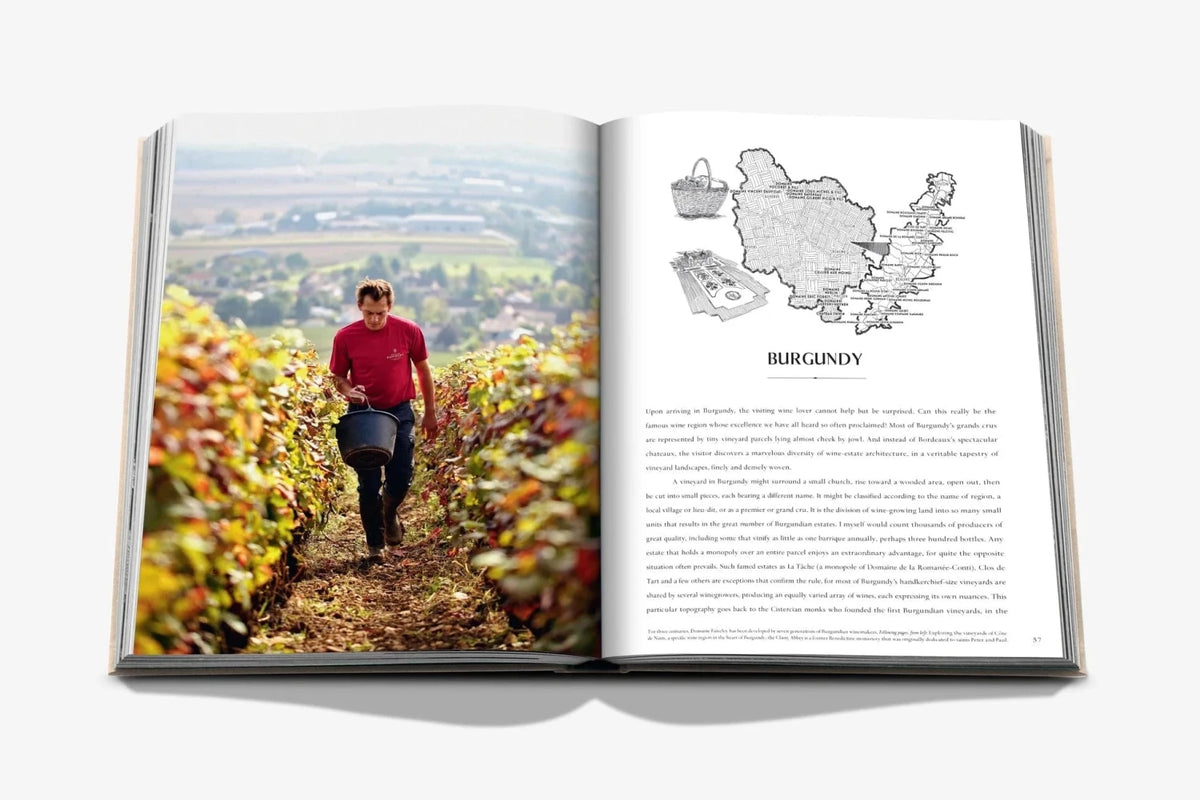 Assouline Wine and Travel France pages detail