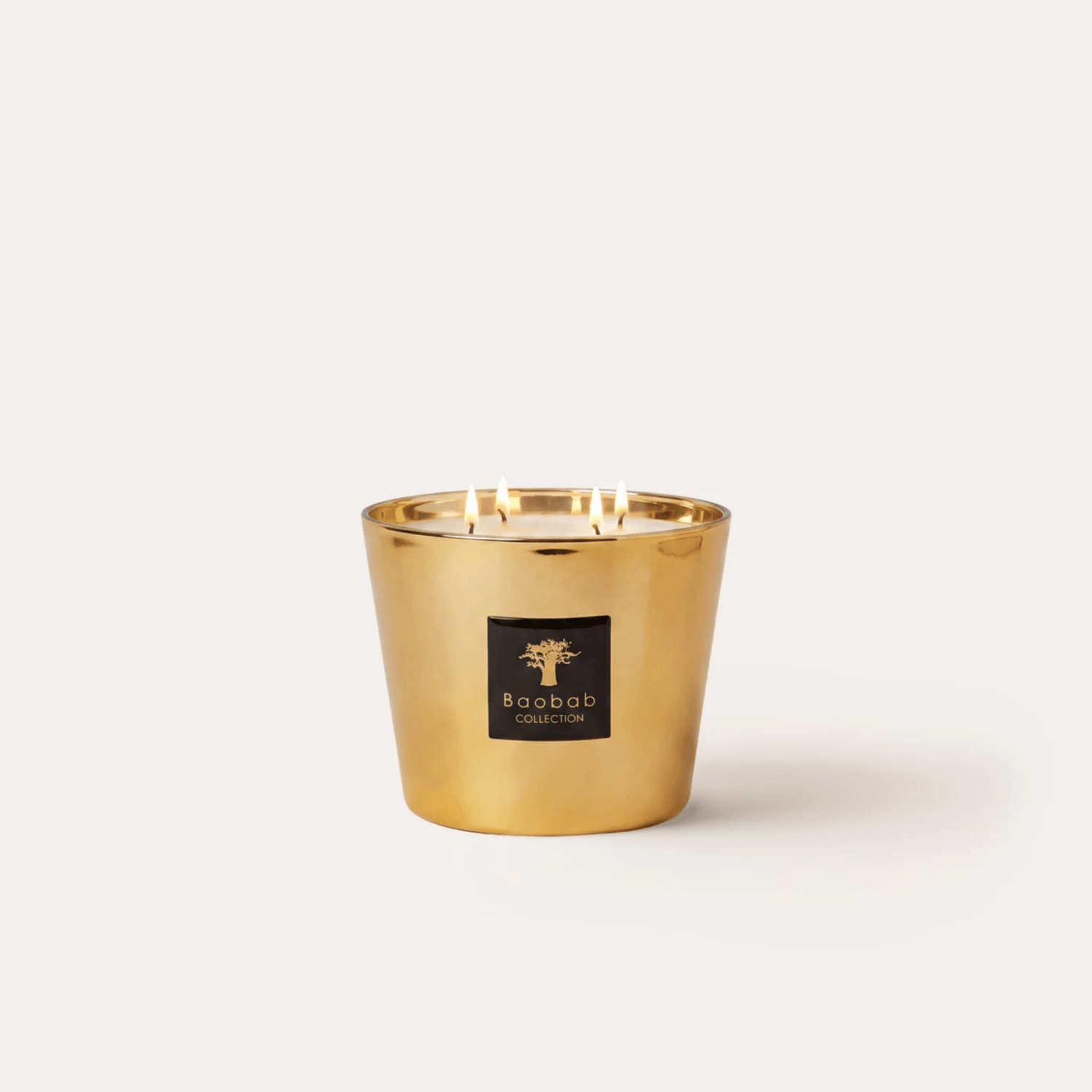 Baobab Scented Candle, Les Exclusives Aurum at Daily Flowers
