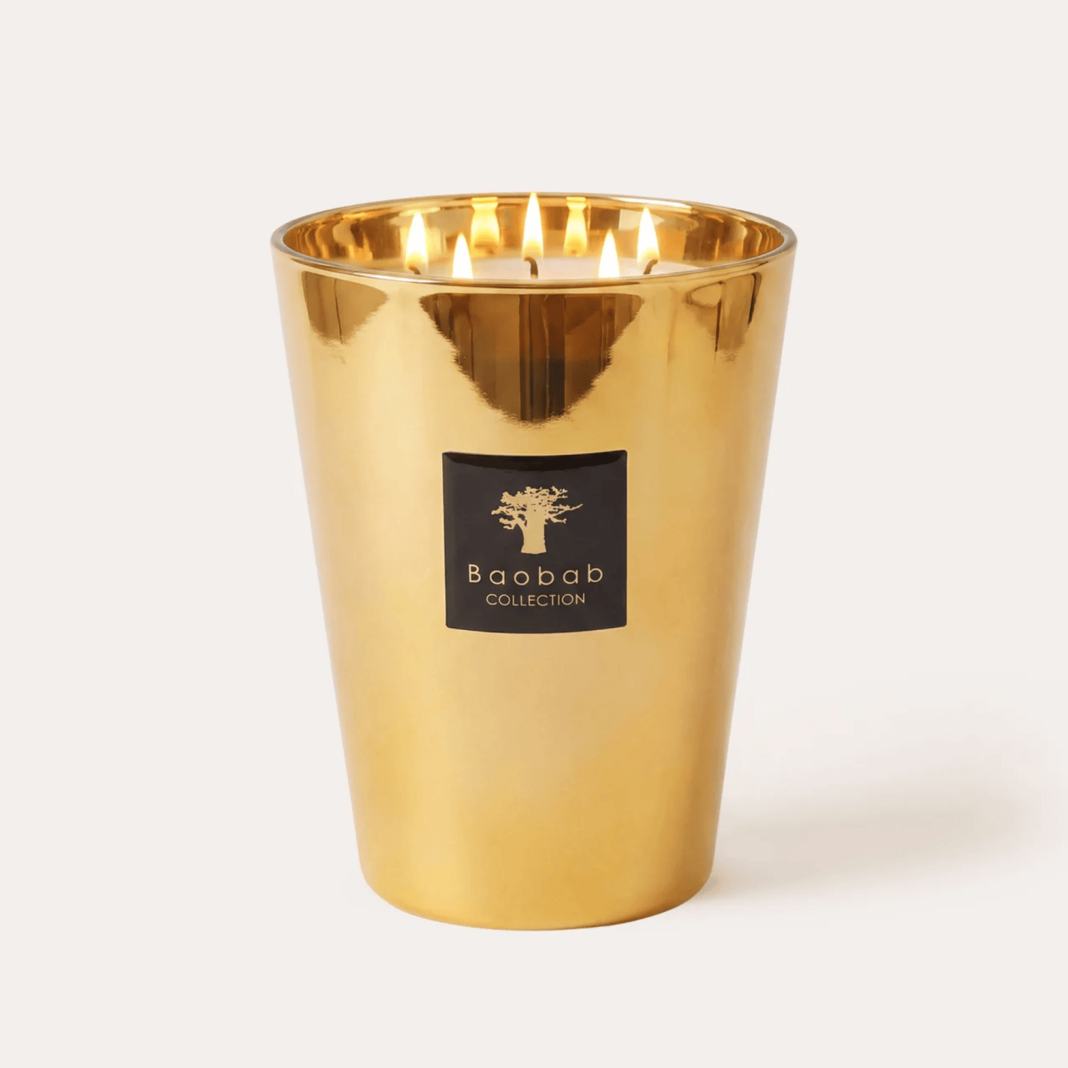 Baobab Scented Candle, Les Exclusives Aurum at Daily Flowers