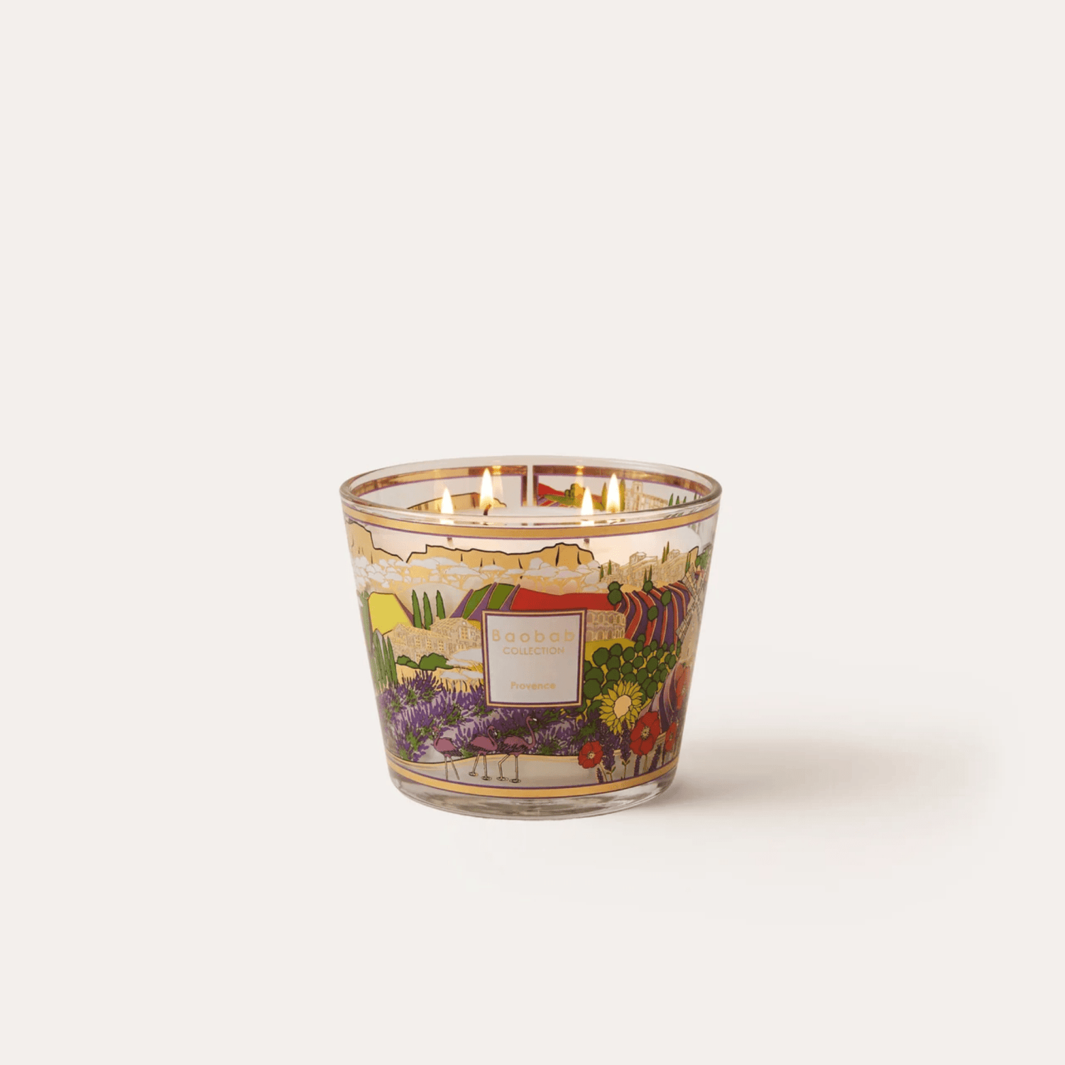 Baobab Scented Candle, Provence at Daily Flowers