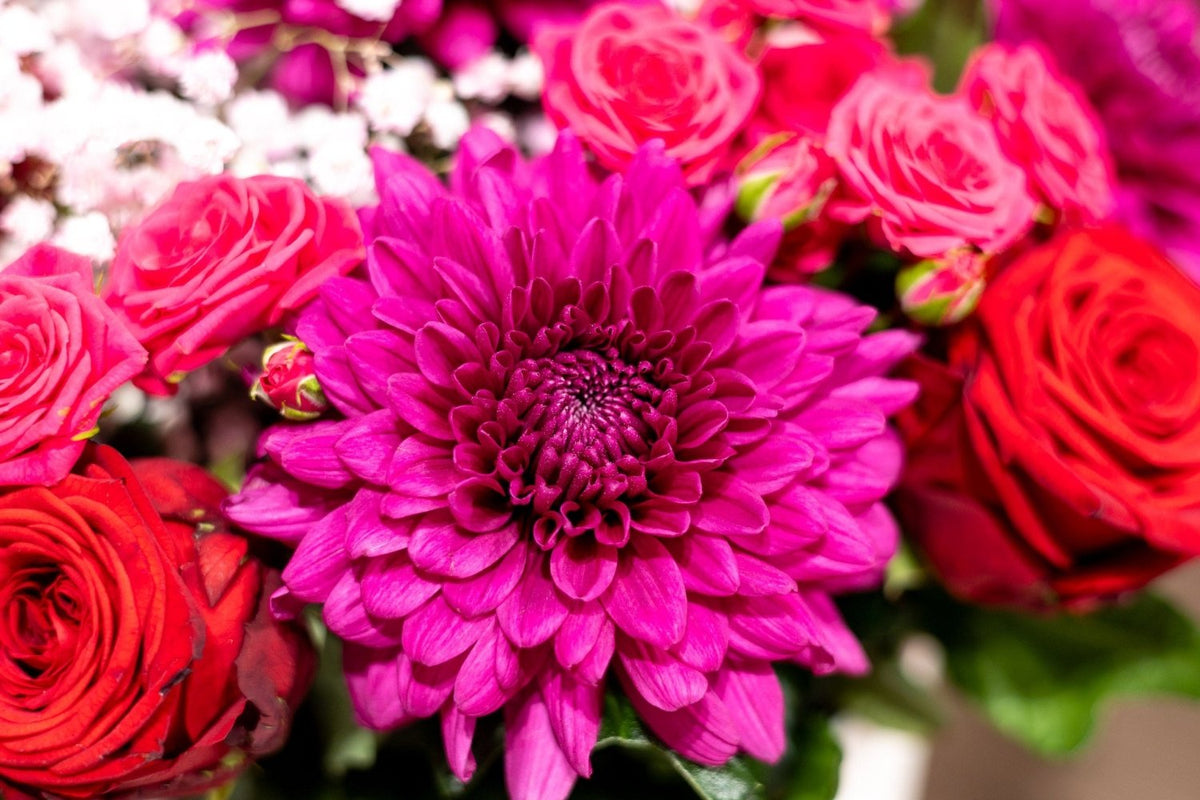 Chic Burgundy Beauty blossom box detail Daily Flowers