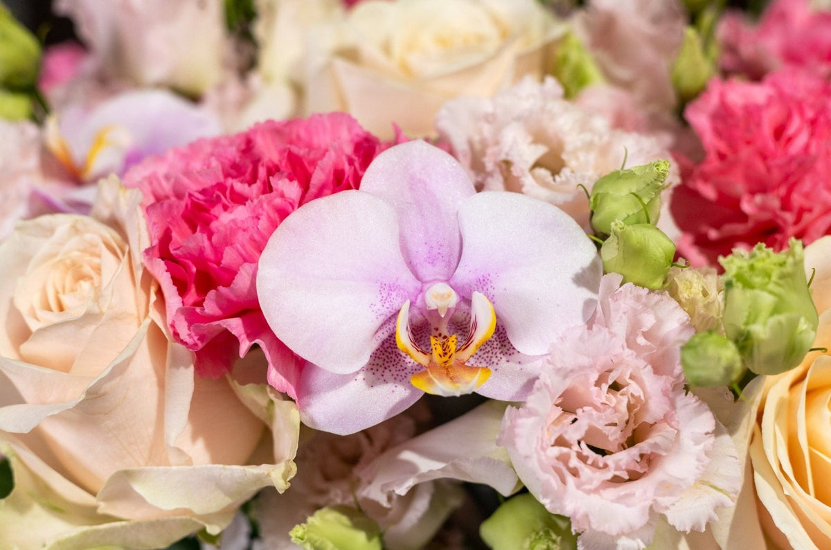 Pastel Poetry blossom box detail Daily Flowers