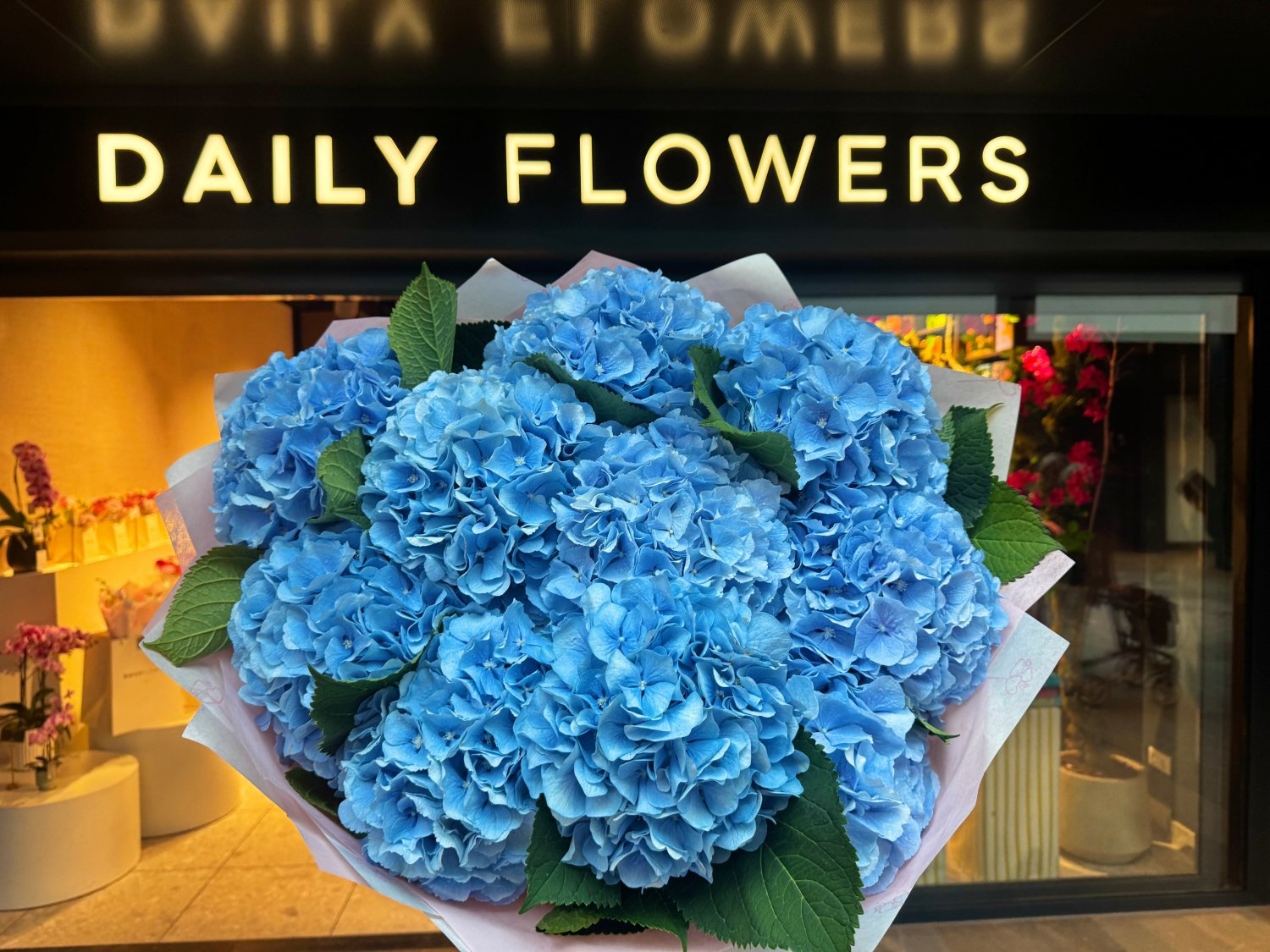 Light blue hydrangea Verena Blue bouquet Daily Flowers Amsterdam