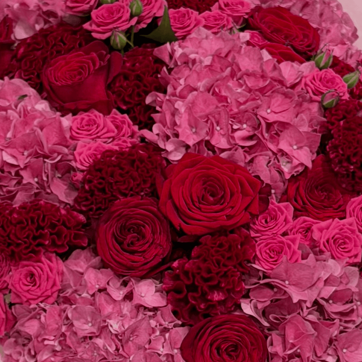 Chic Cherry Queen bouquet with roses and hydrangea by Daily Flowers