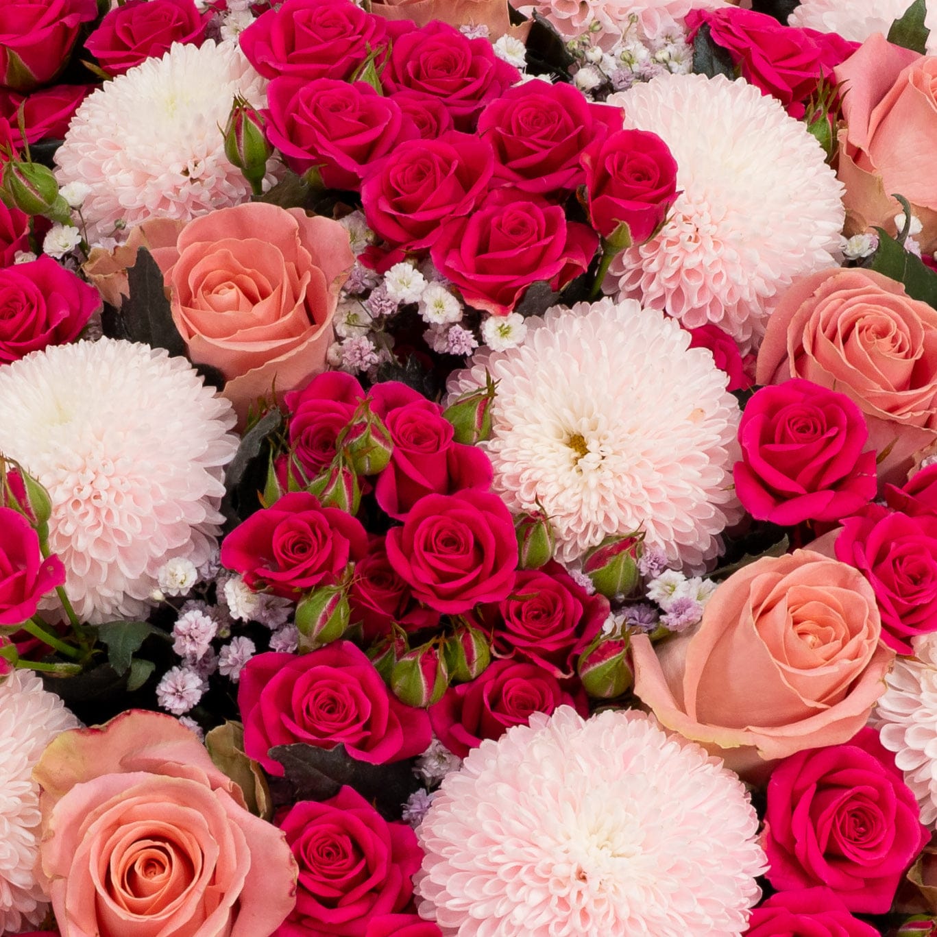 Chic Pink Princess bouquet detail Daily Flowers