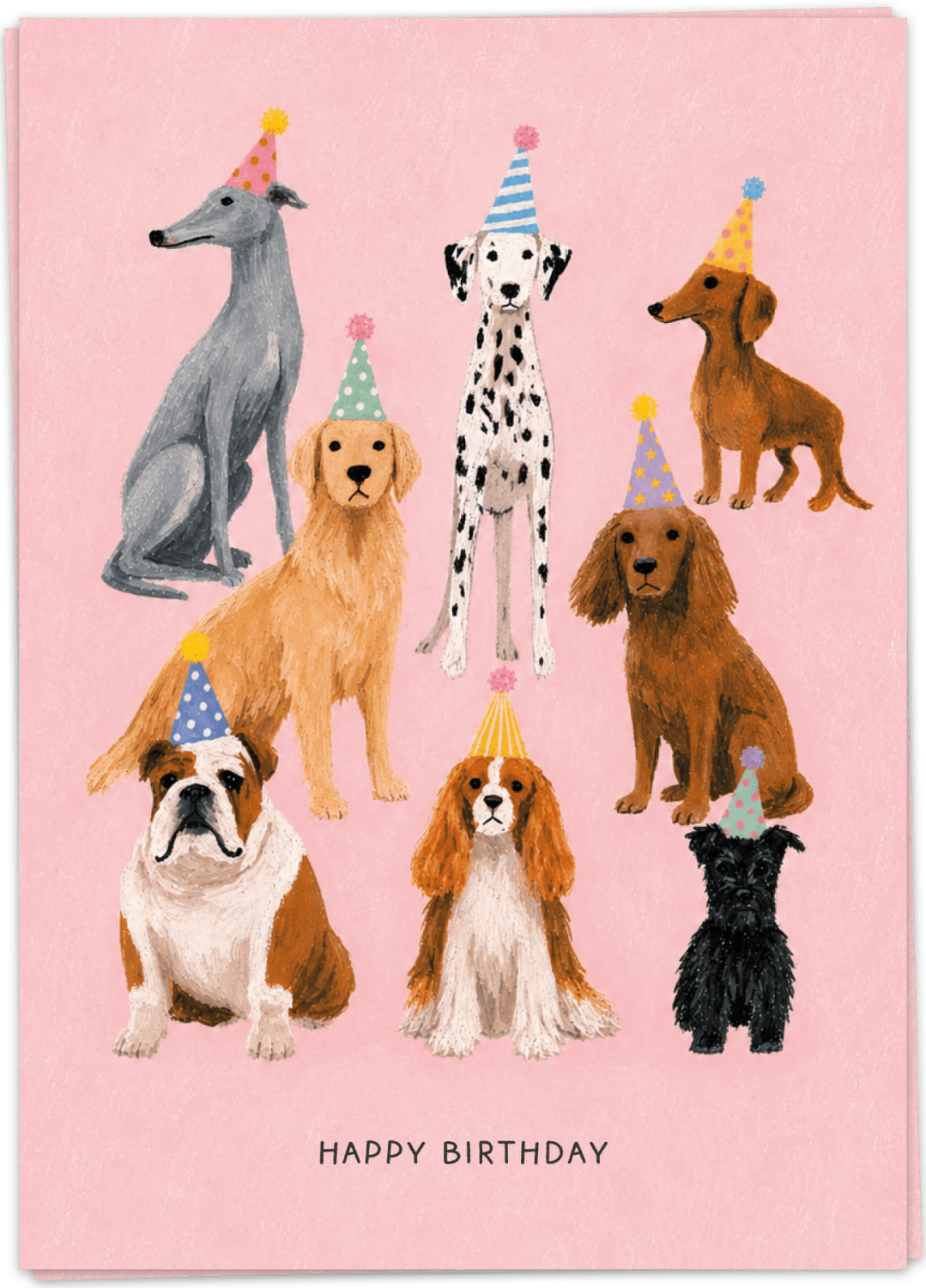Fancy Postcard Birthday dogs