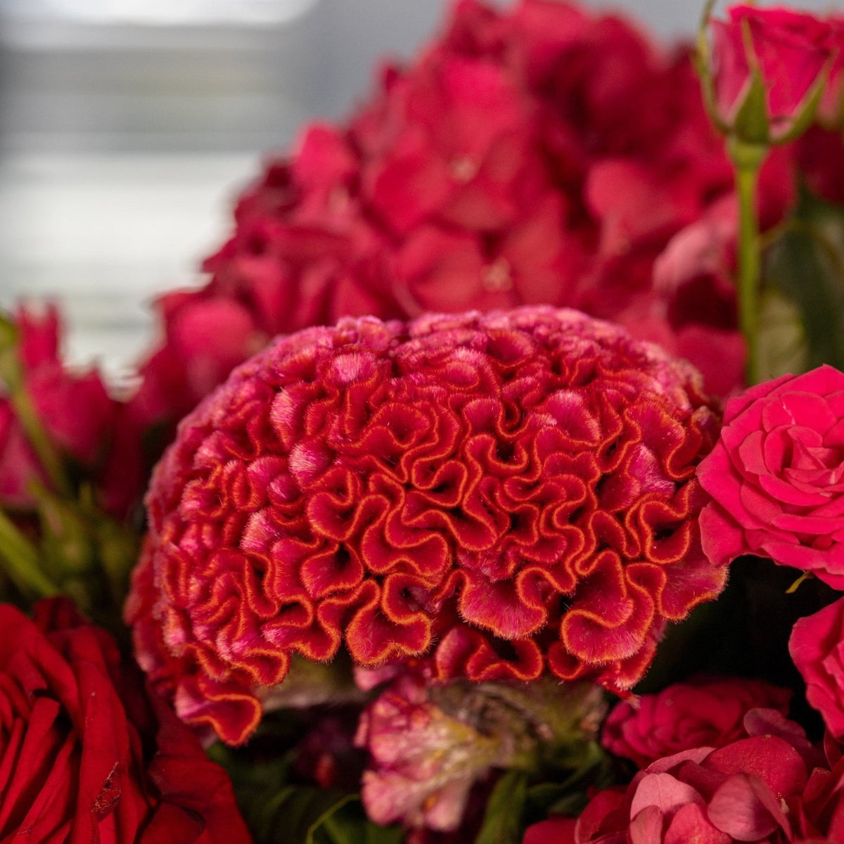 Fifth Avenue Fall Dream bouquet close-up Daily Flowers