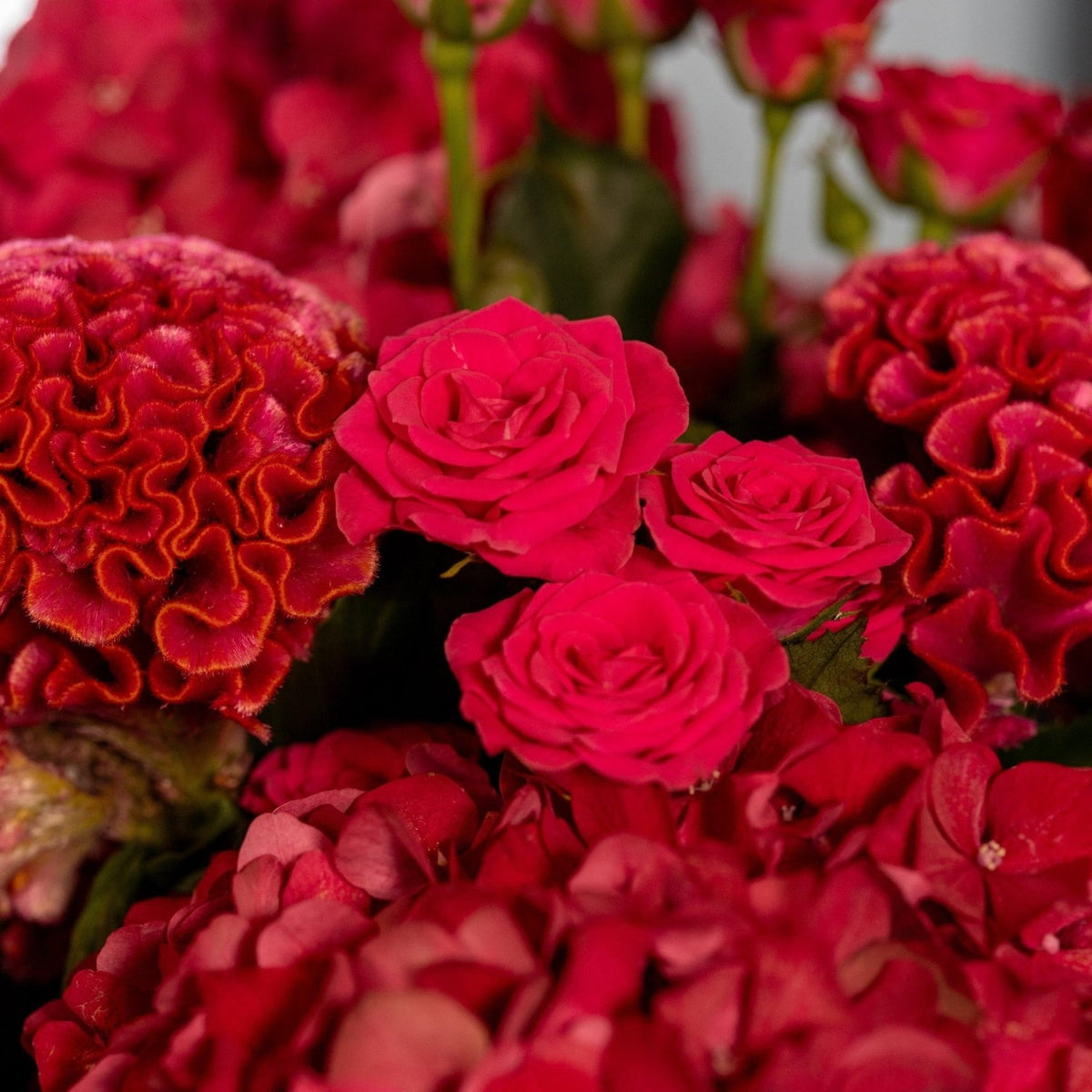 Fifth Avenue Fall Dream bouquet detail Daily Flowers