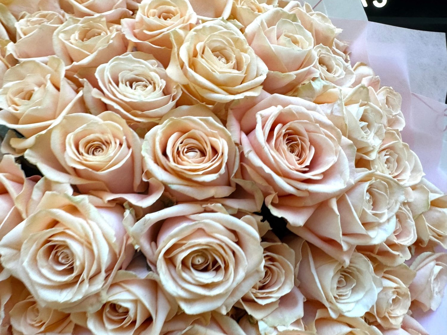 Peach Avalanche roses arrangement Daily Flowers