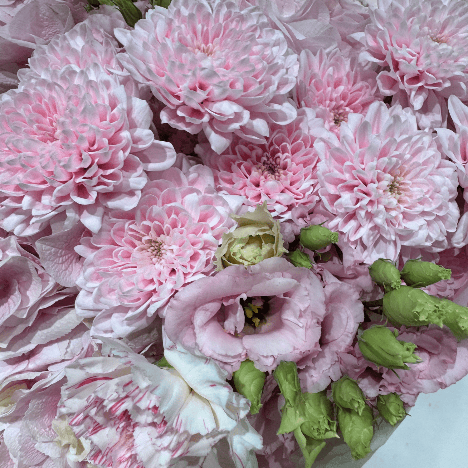 Pretty Pink Princess bouquet vase styling Daily Flowers