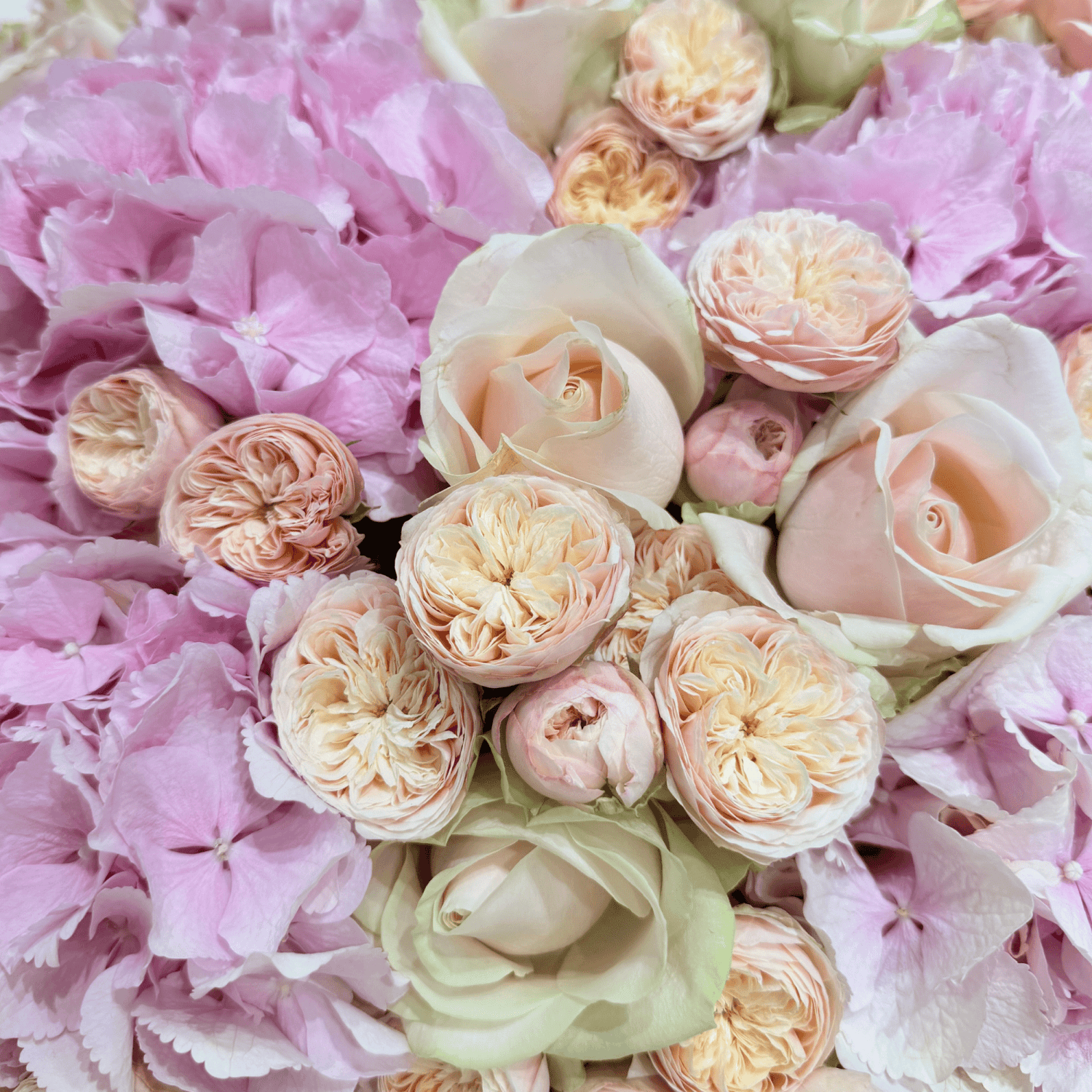 Royal Princess Blush bouquet with roses by Daily Flowers