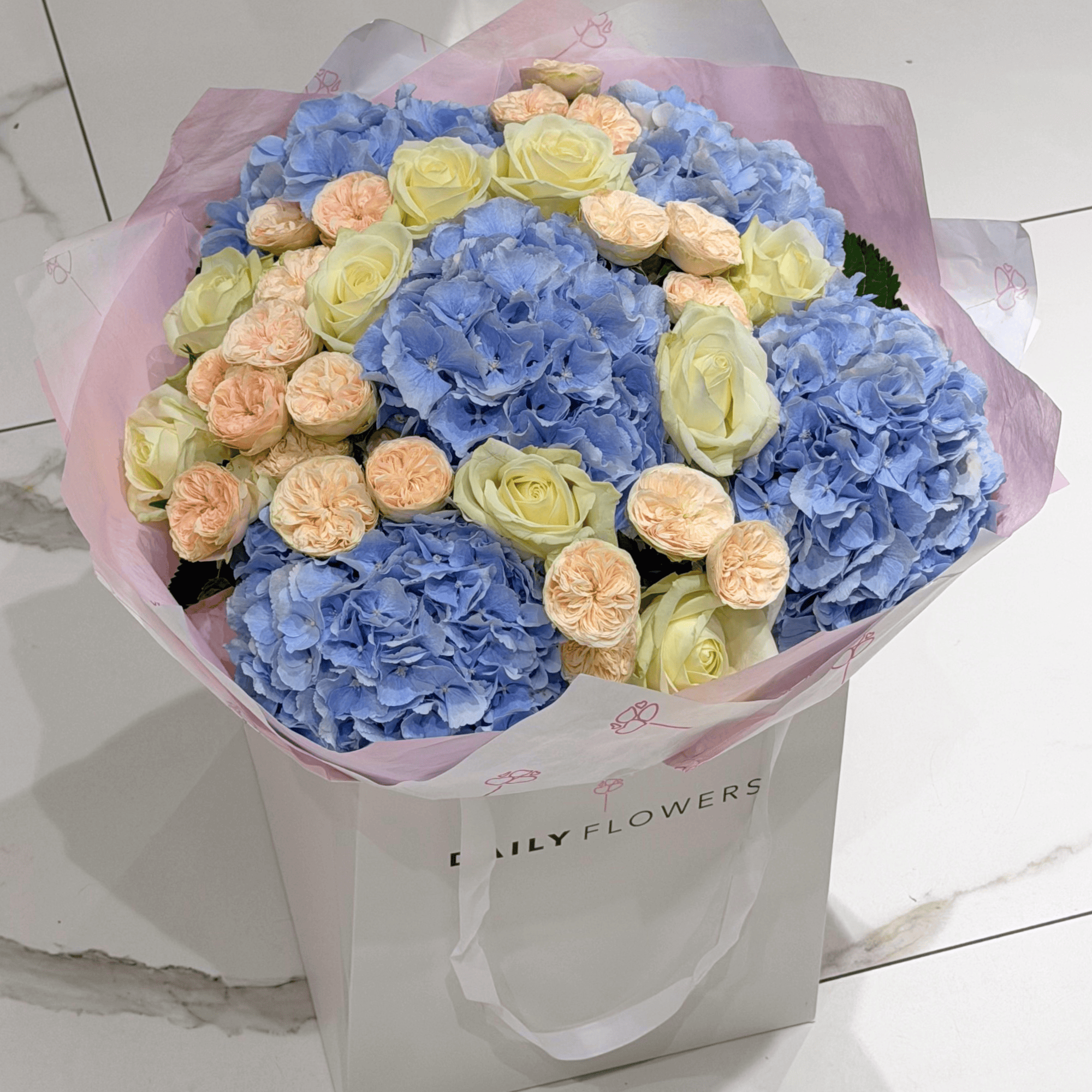 Royal Blue Blush