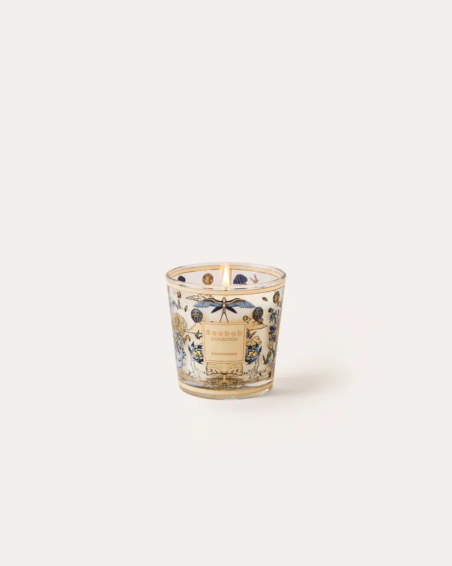 Scented Candle, My First Baobab Tomorrowland 2026 at Daily Flowers