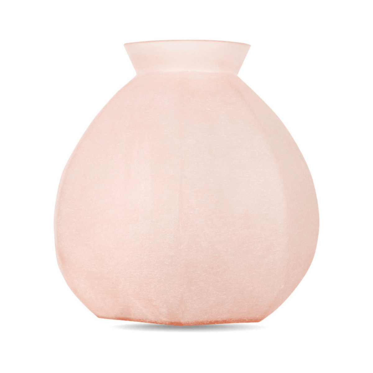 Sierra Medium, glass vase by Daily Flowers