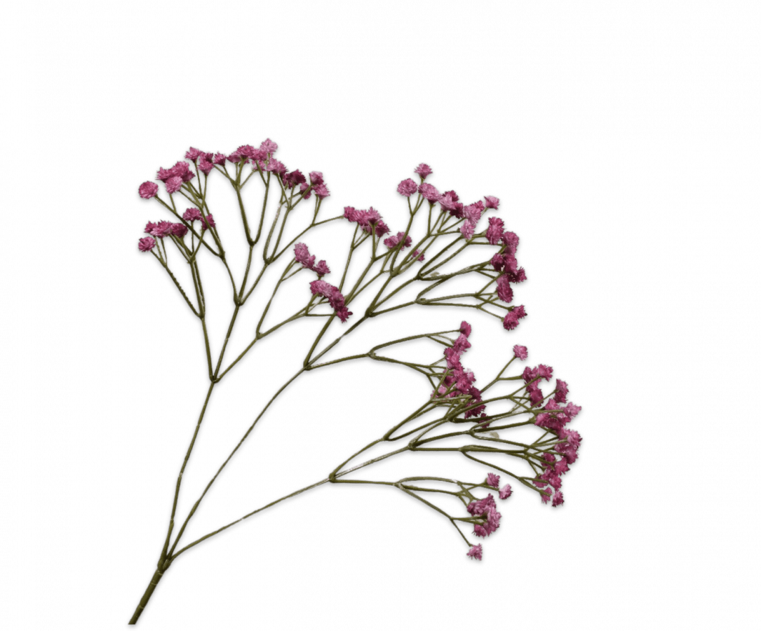 Silk purple gypsophila spray stem