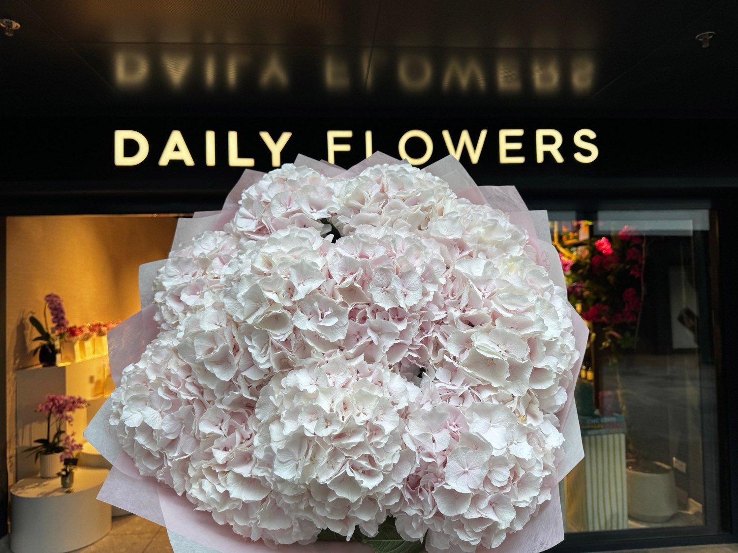 Soft pink hydrangea bouquet Daily Flowers Amsterdam