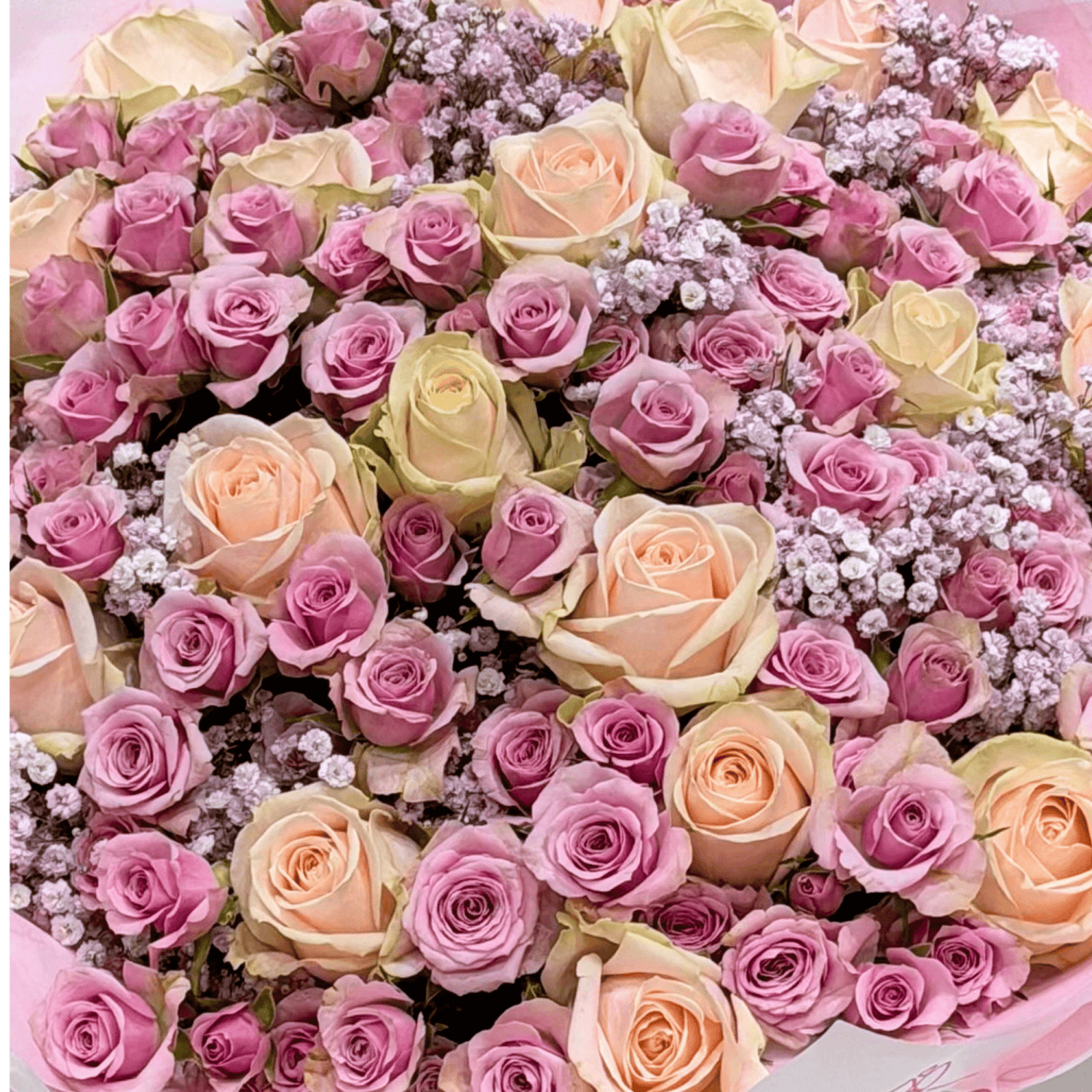 Violet Princess bouquet with roses and gypsophila by Daily Flowers