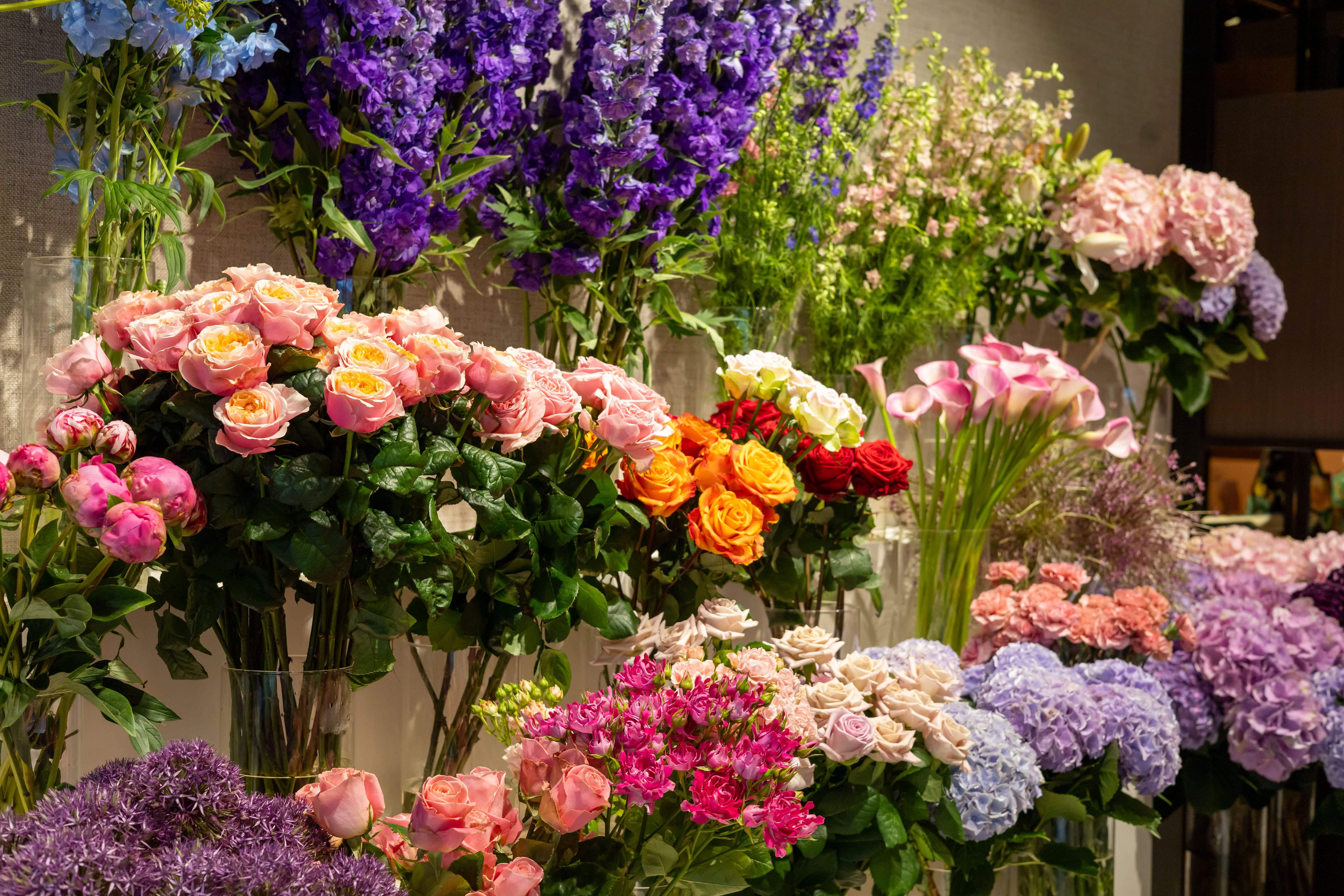 The Language of Flowers – what does each flower mean? 🌸